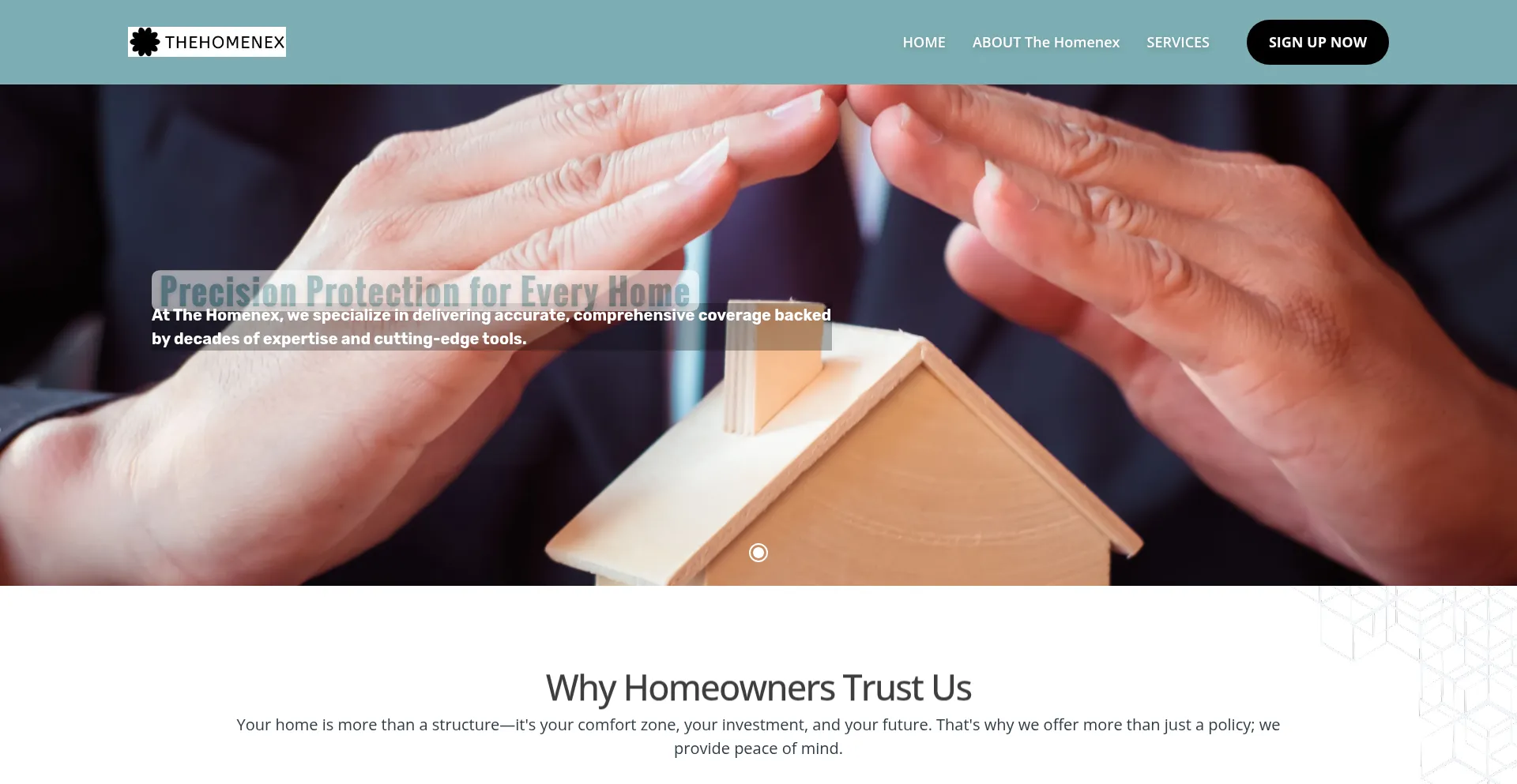 Website screenshot of Thehomenex.com