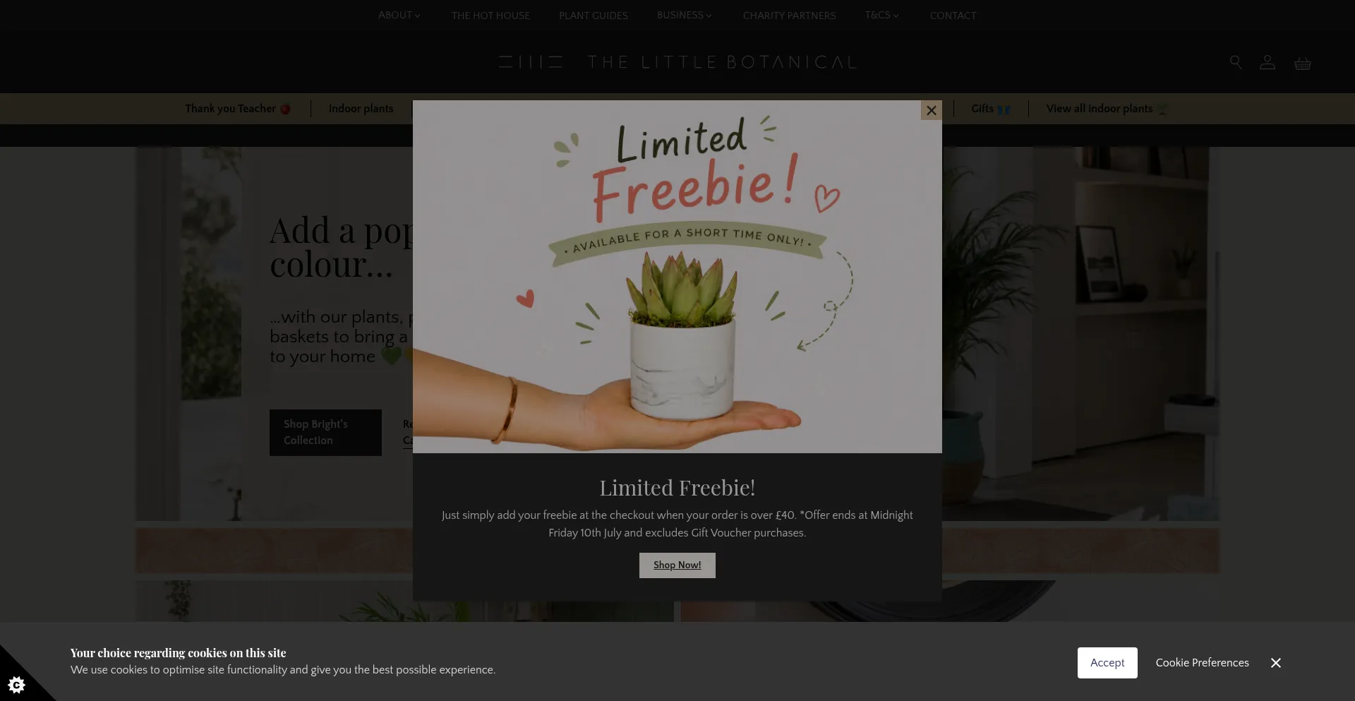 Thelittlebotanical.com