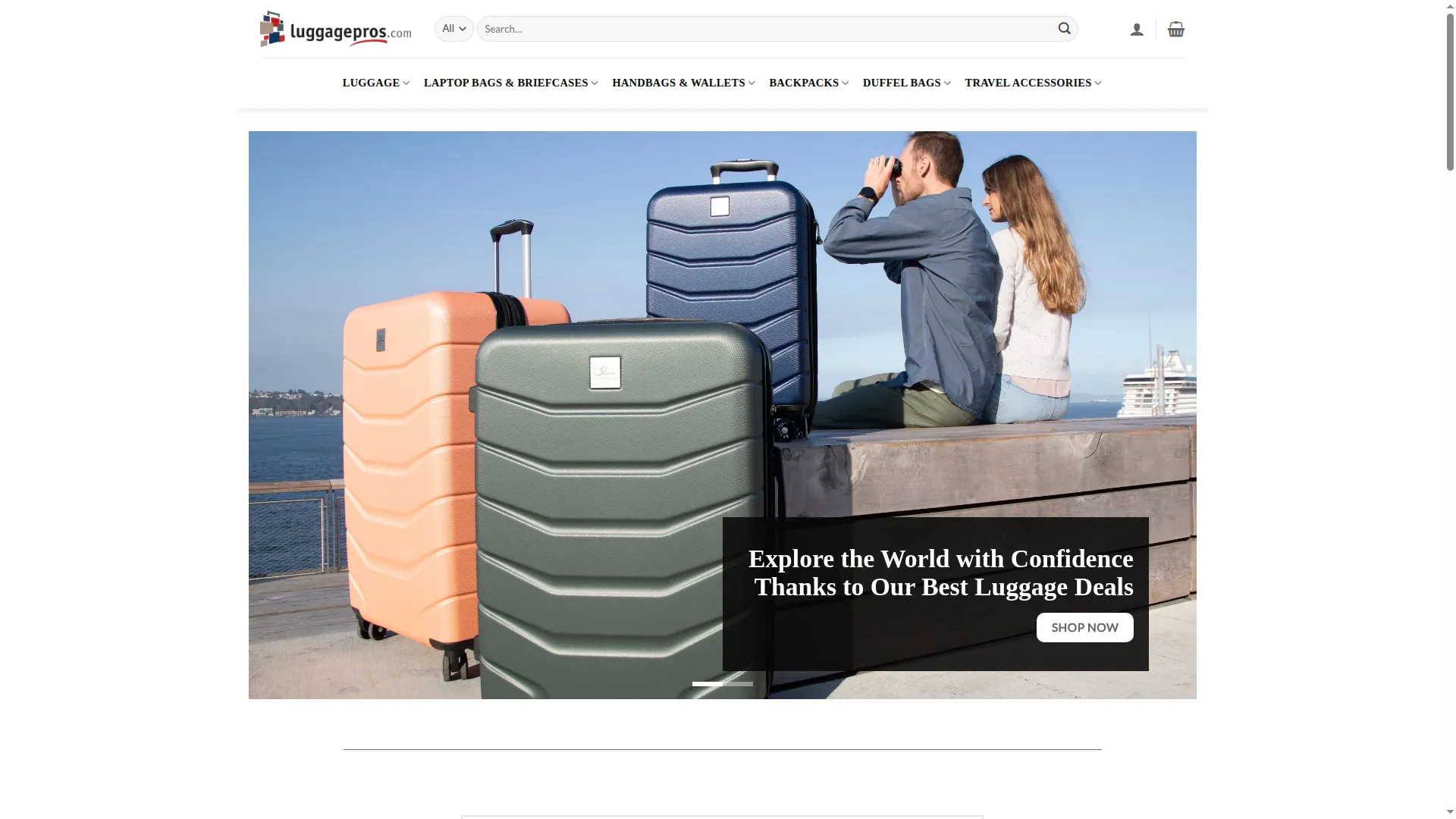 Theluggagepros.com