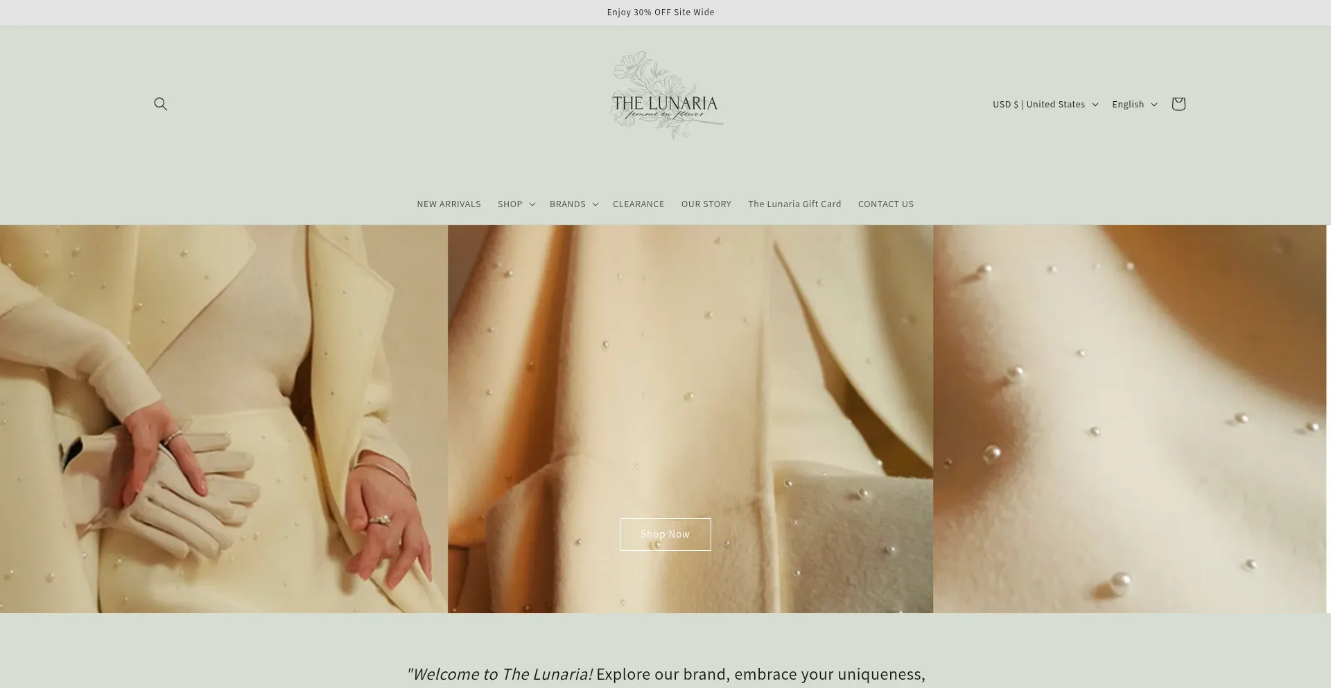 Website screenshot of Thelunariashop.com