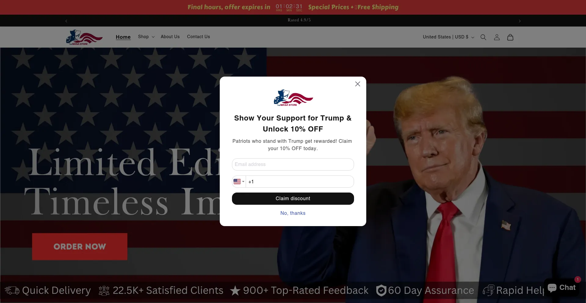 Website screenshot of Themagastore.net