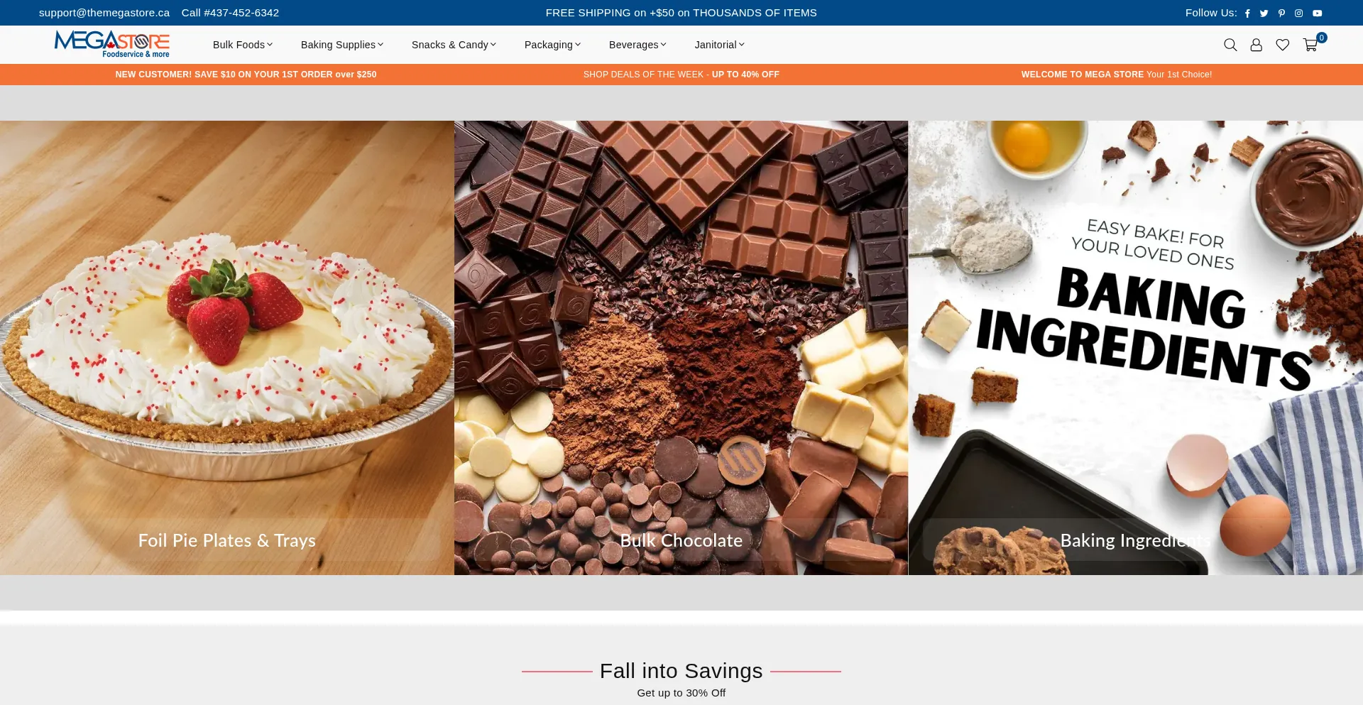 Themegastore.ca Screenshot