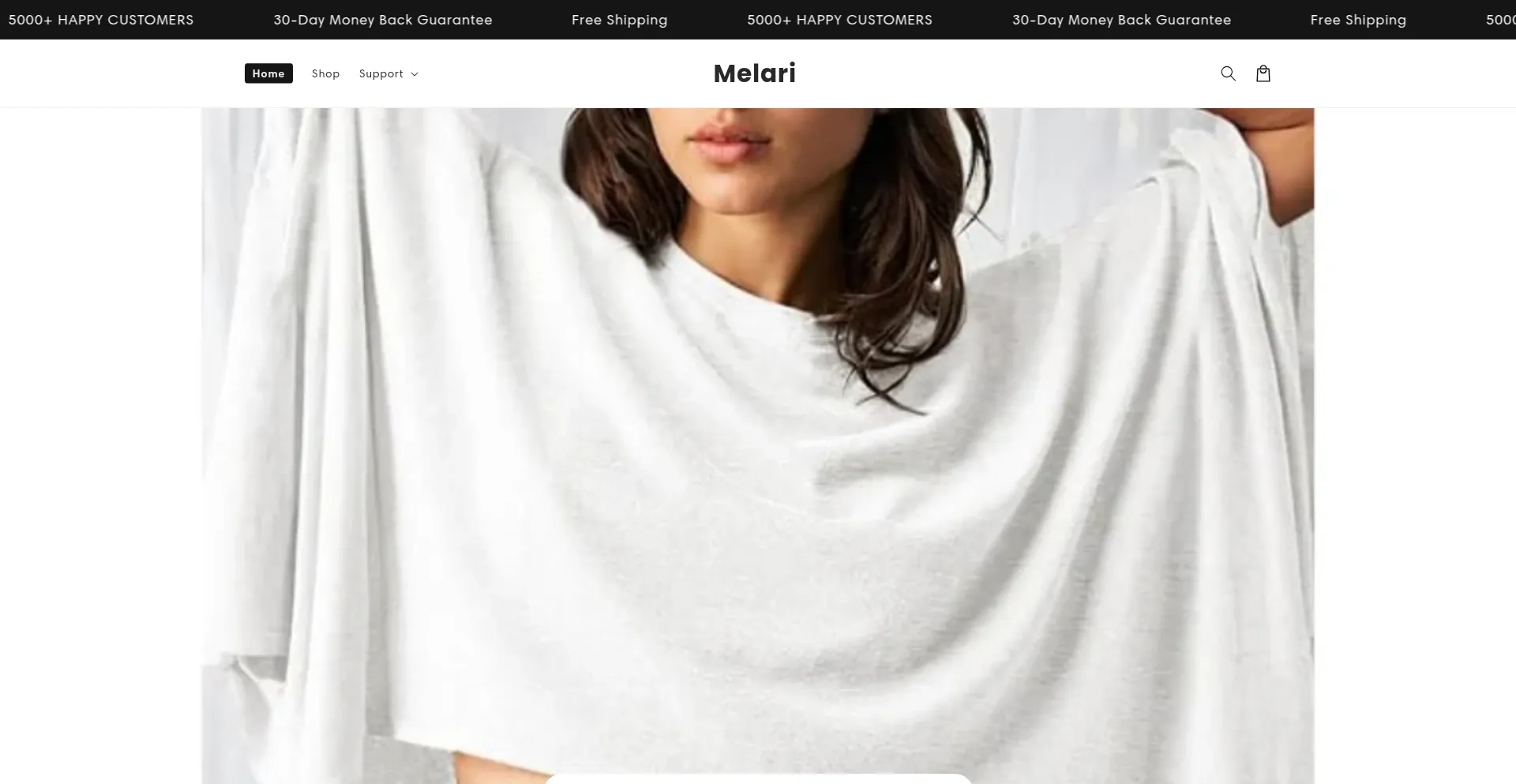 Website screenshot of Themelari.com