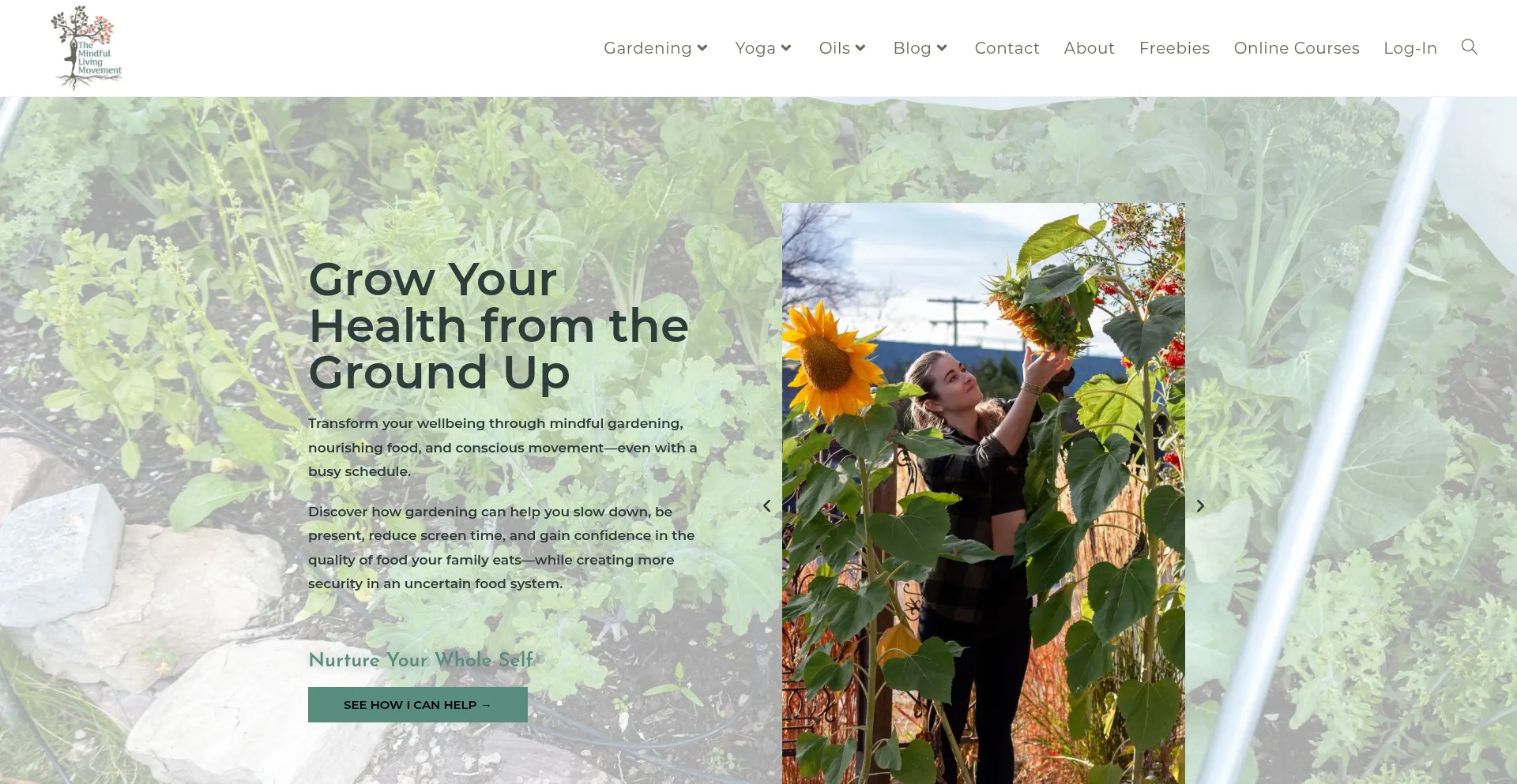 Themindfullivingmovement.com