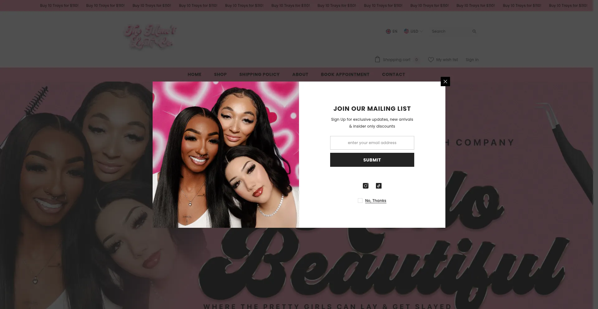 Themonetlashco.com