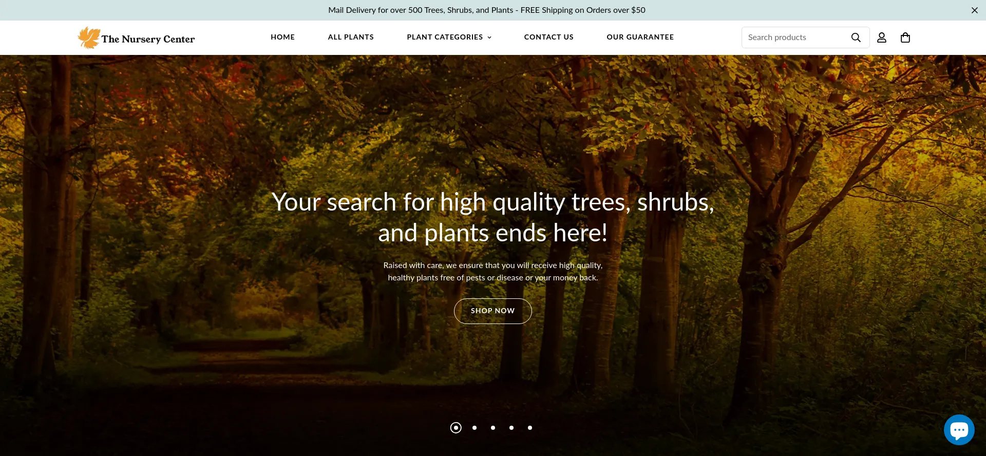 Website screenshot of Thenurserycenter.com