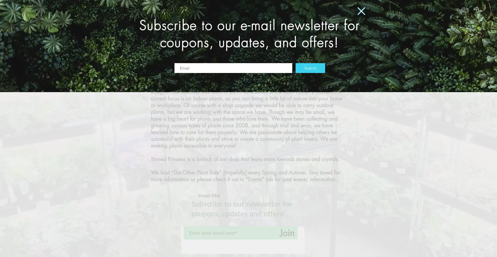 Website screenshot of Theothersidenursery.com