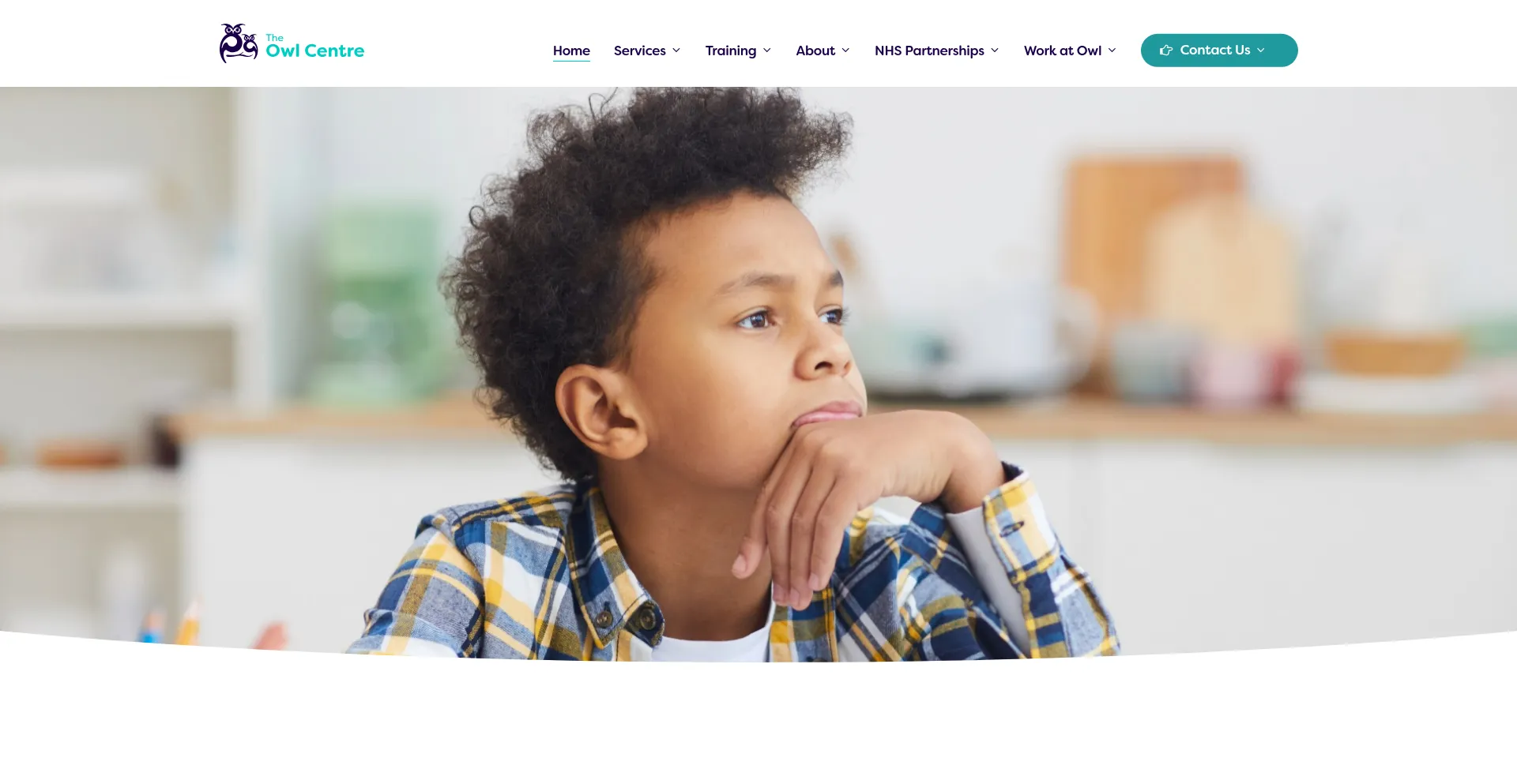 Theowltherapycentre.co.uk