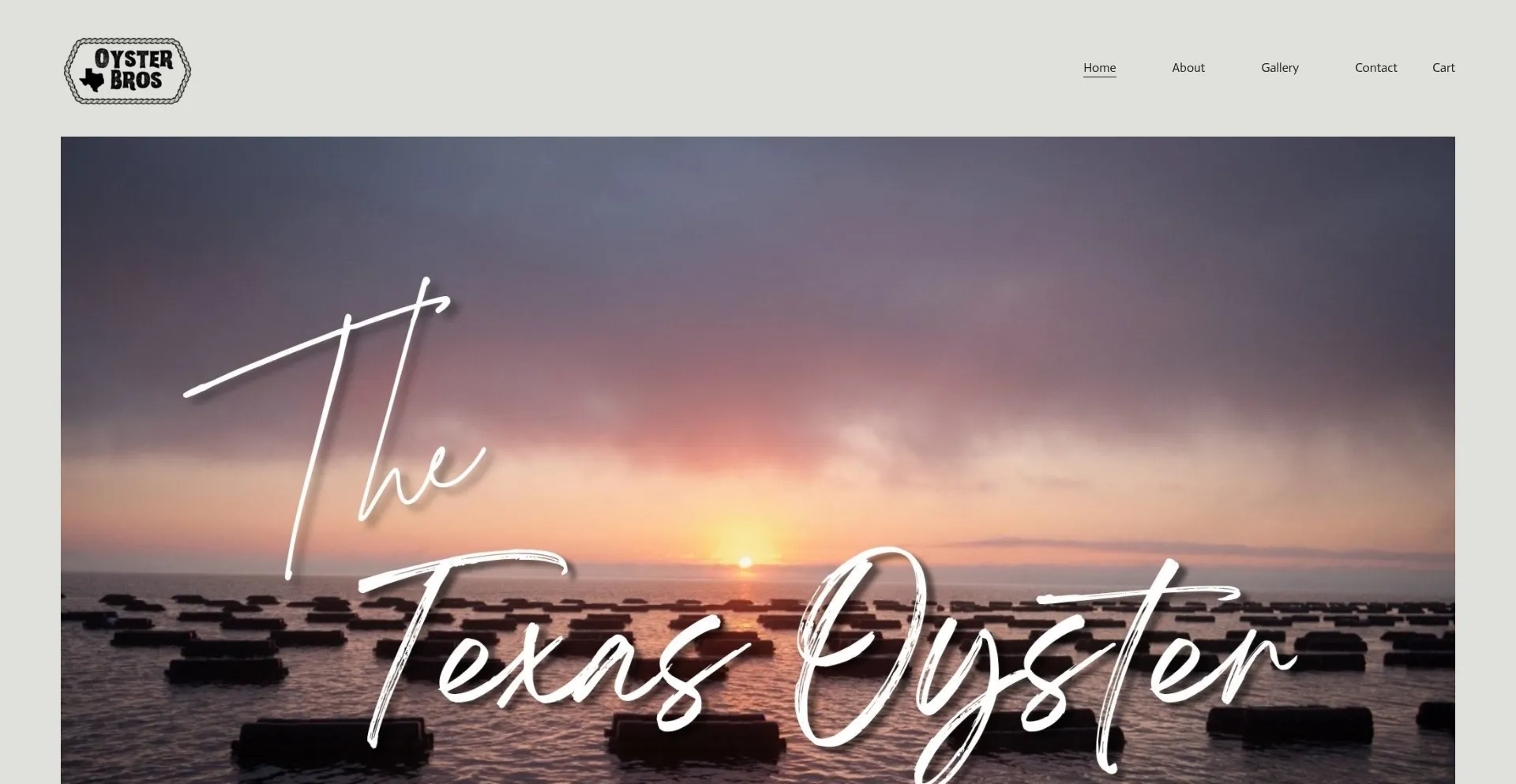 Website screenshot of Theoysterbros.com