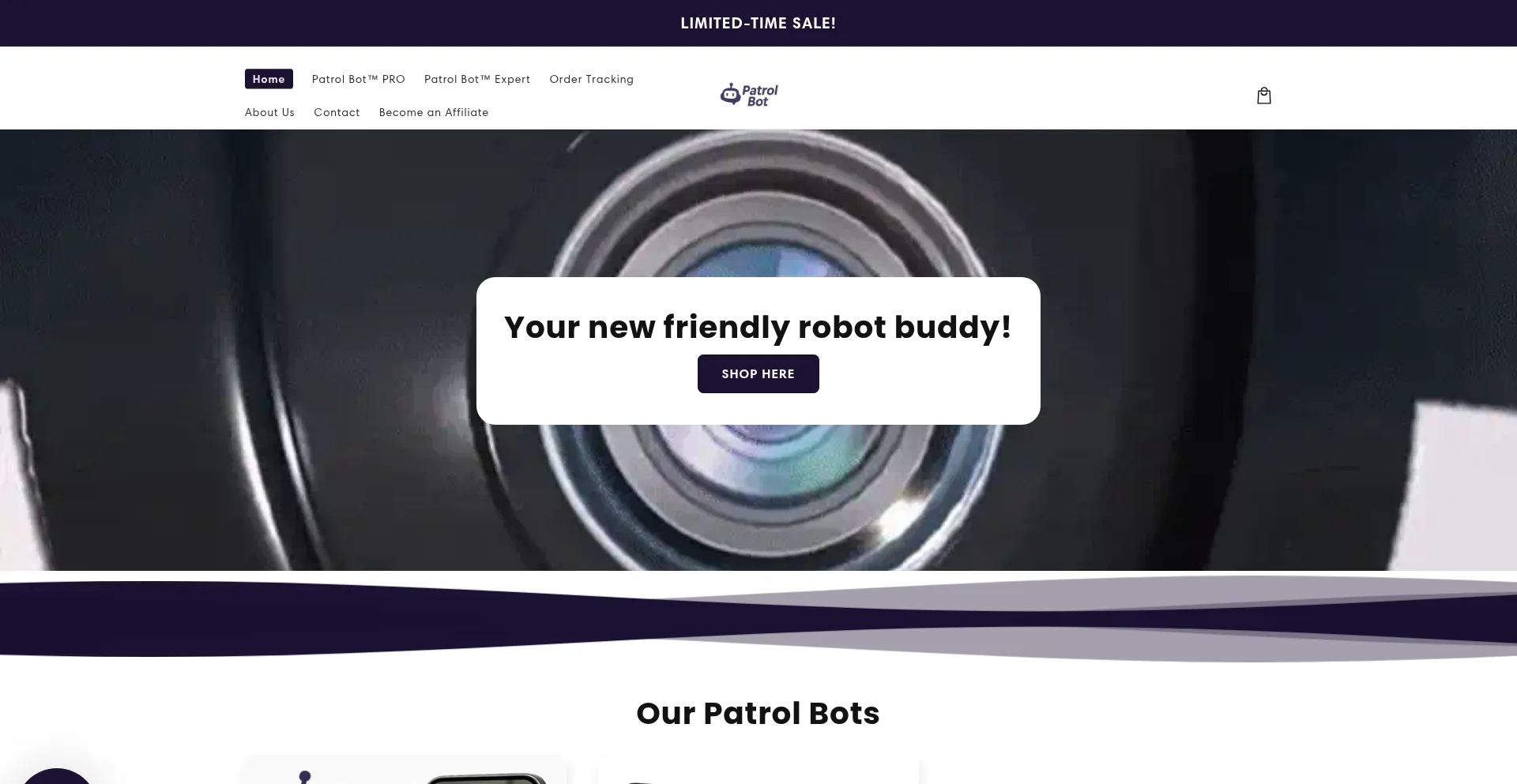 Website screenshot of Thepatrolbot.com