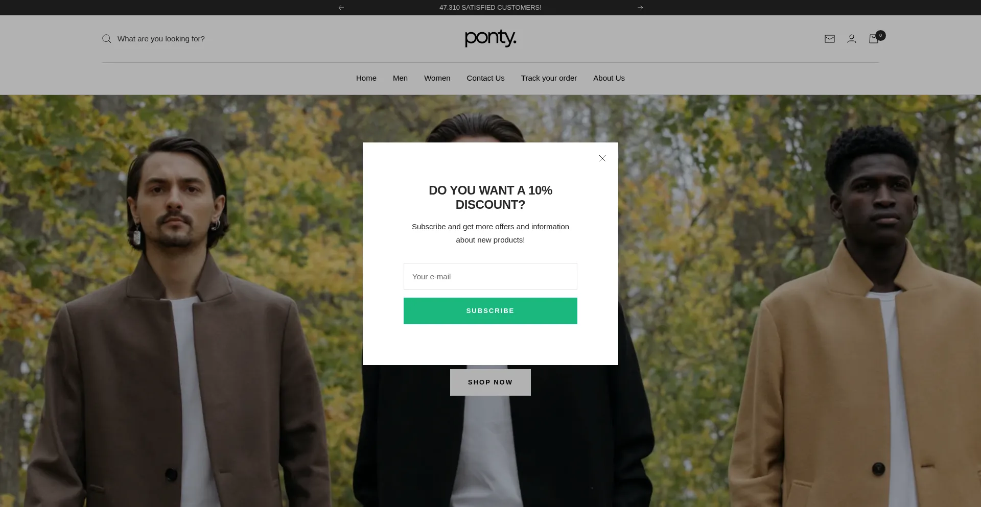 Theponty.com