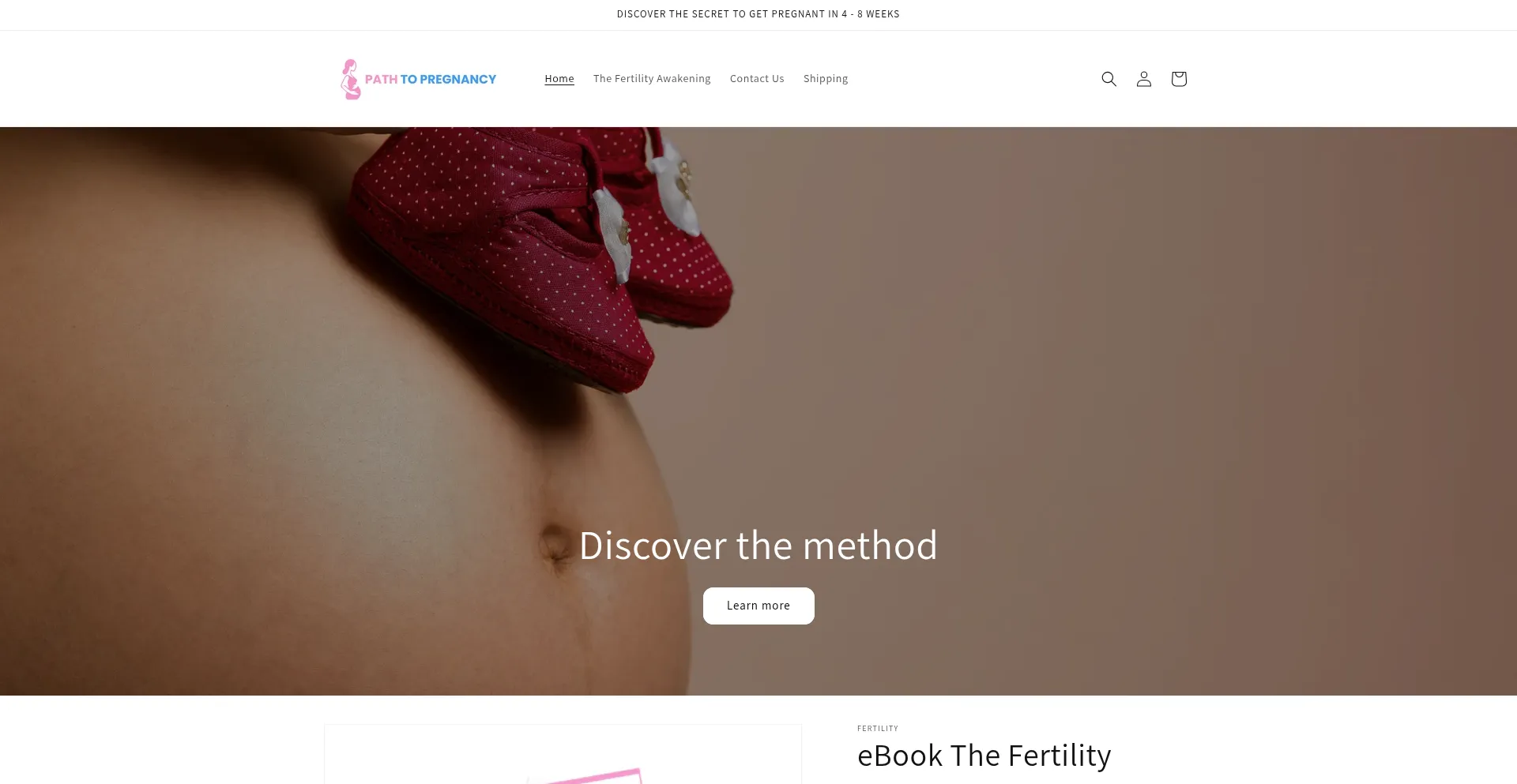 Website screenshot of Thepregnancypath.com
