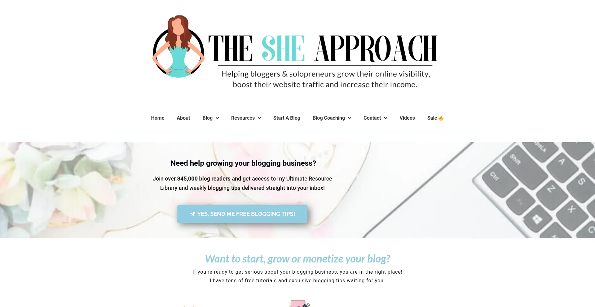 Thesheapproach.com