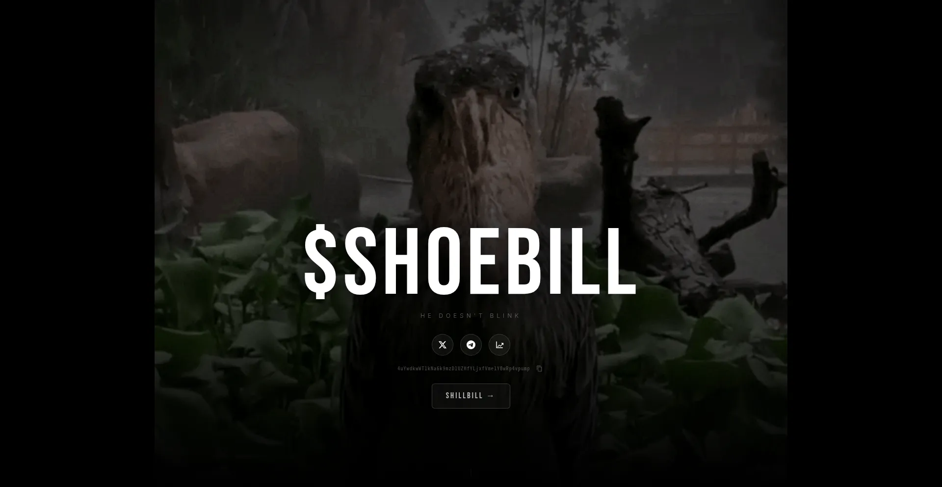 Theshoebill.xyz