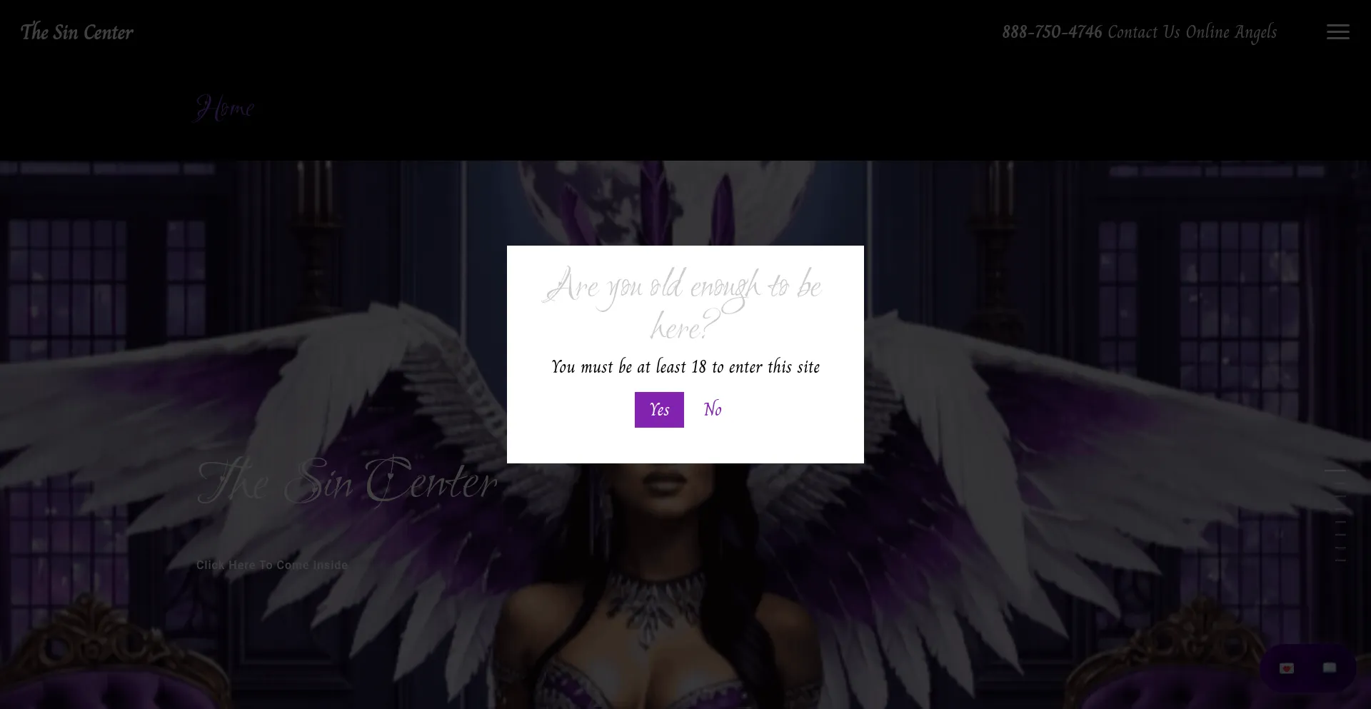 Website screenshot of Thesincenter.com