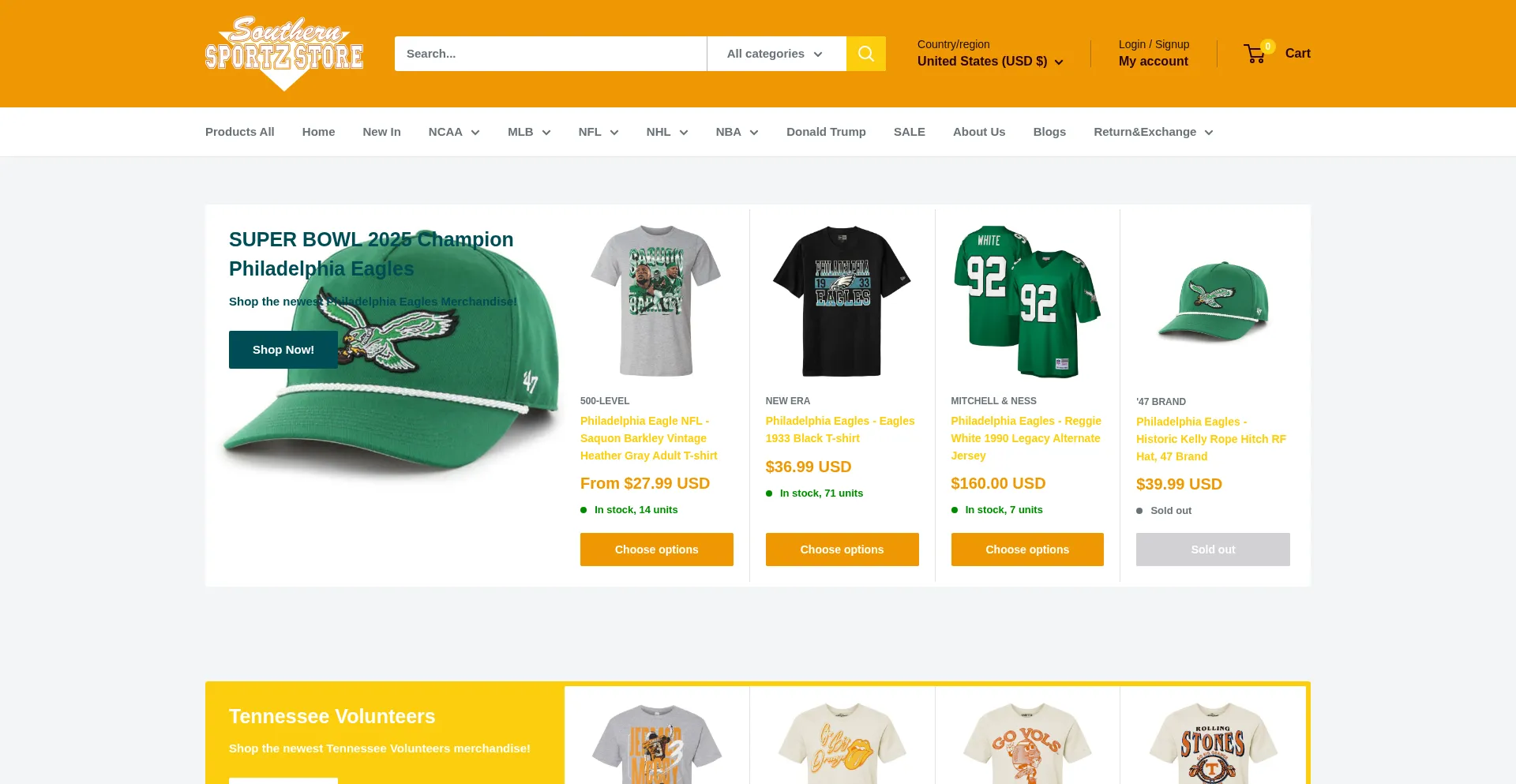 Website screenshot of Thesouthernsportz.com