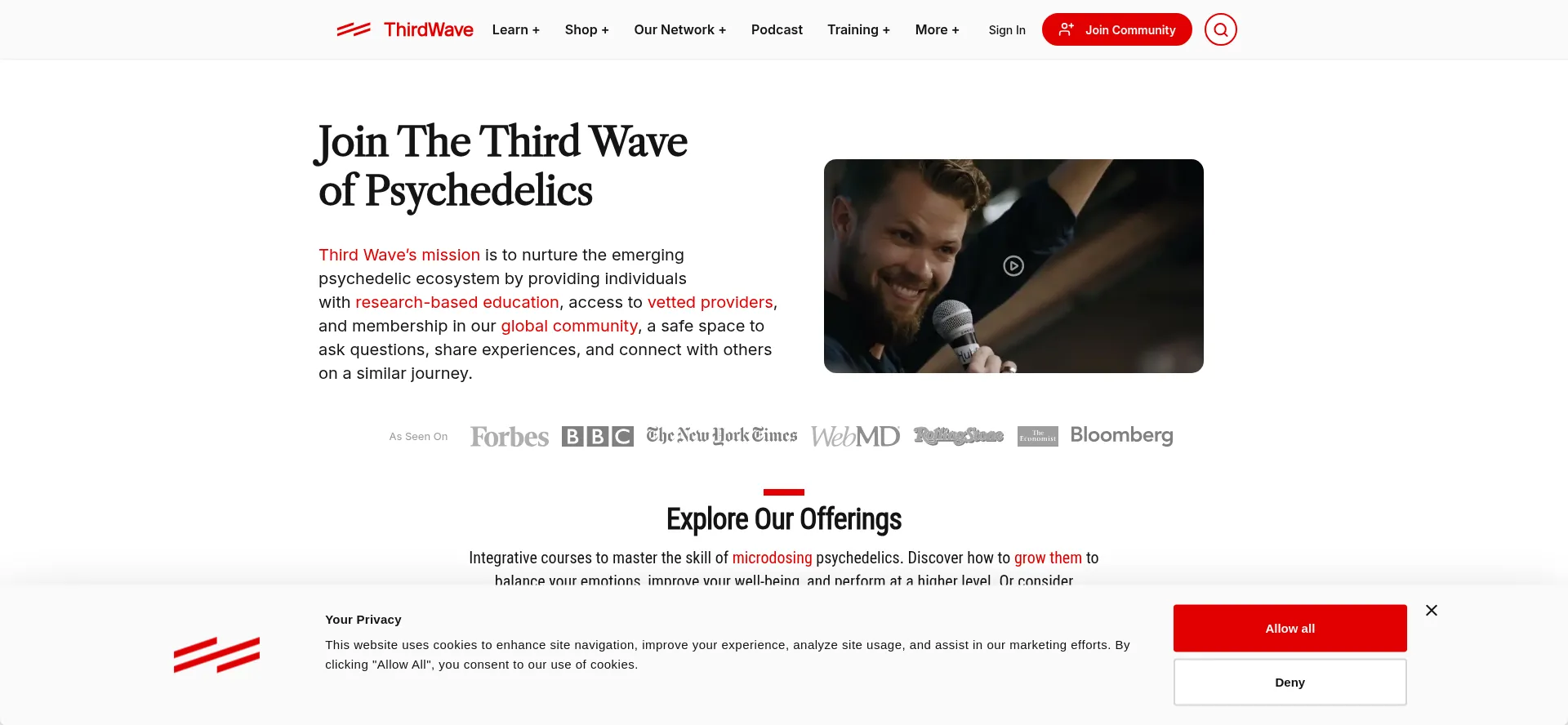 Website screenshot of Thethirdwave.co