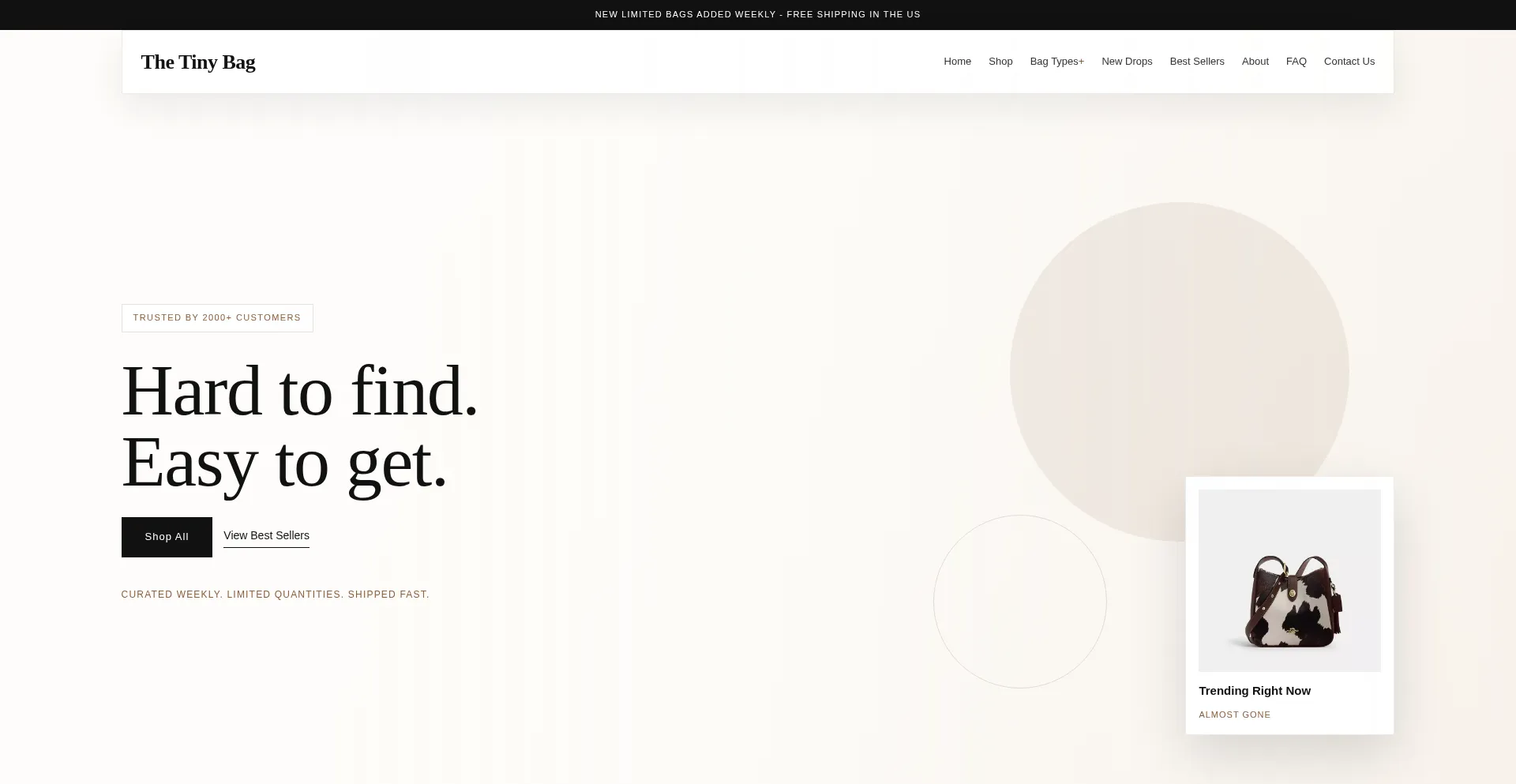Thetinybag.com