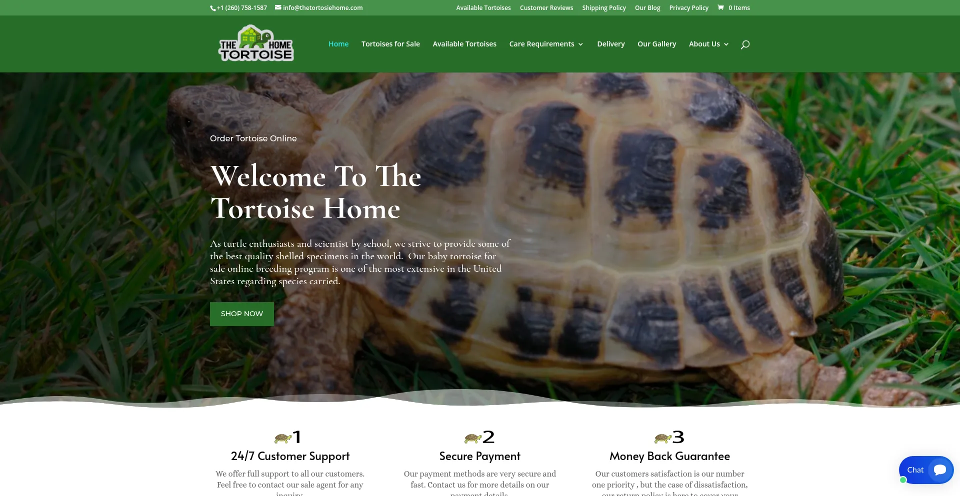 Website screenshot of Thetortoisehome.com
