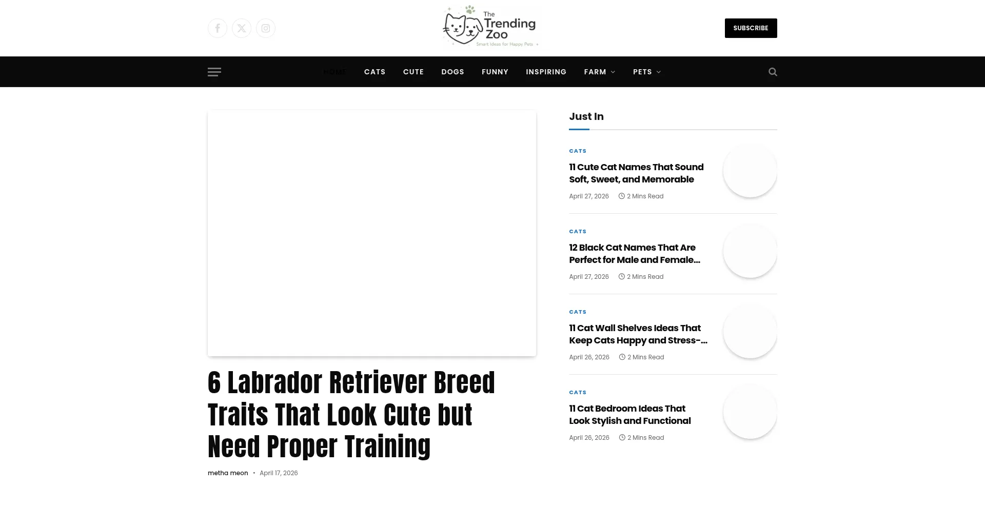 Thetrendingzoo.com