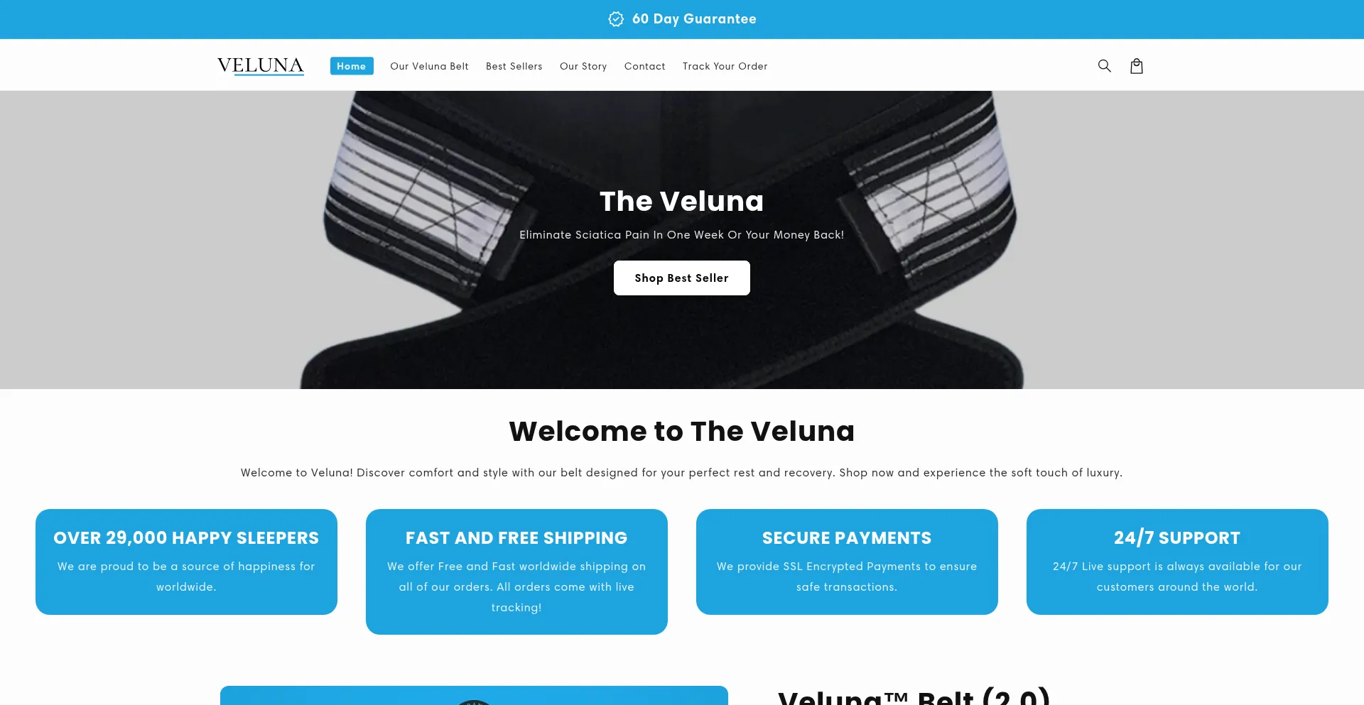 Website screenshot of Theveluna.com