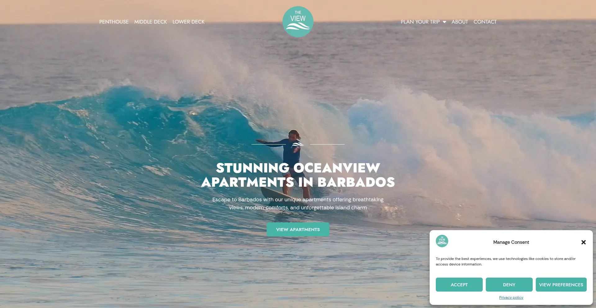 Website screenshot of Theviewbarbados.com