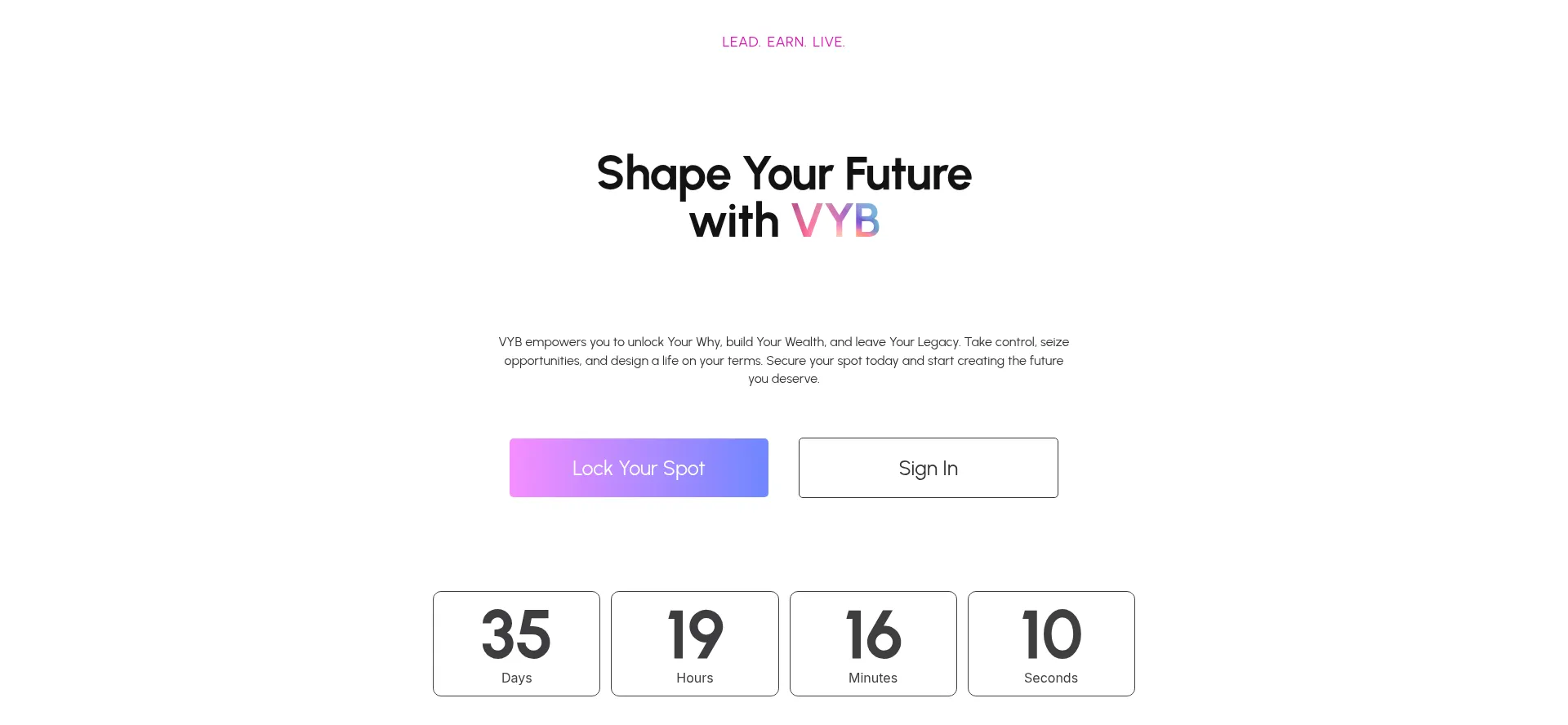 Website screenshot of Thevyb.io