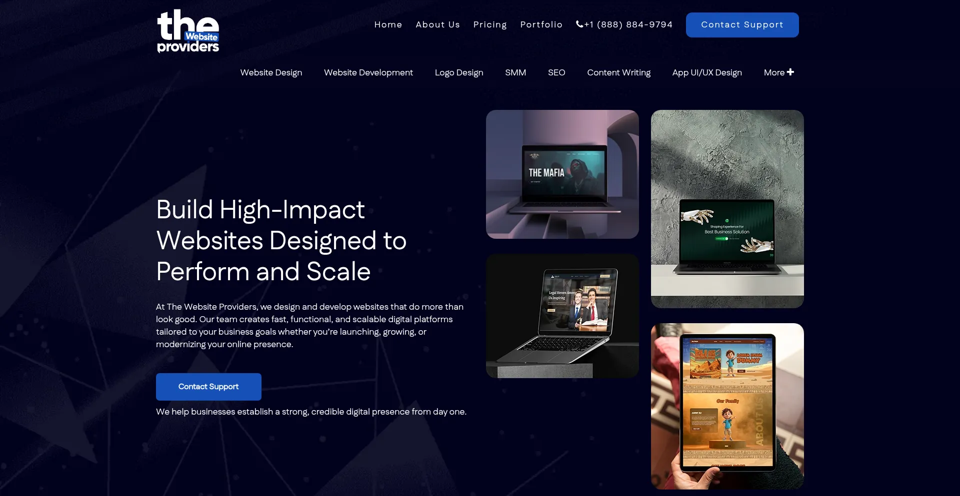 Thewebsiteproviders.com