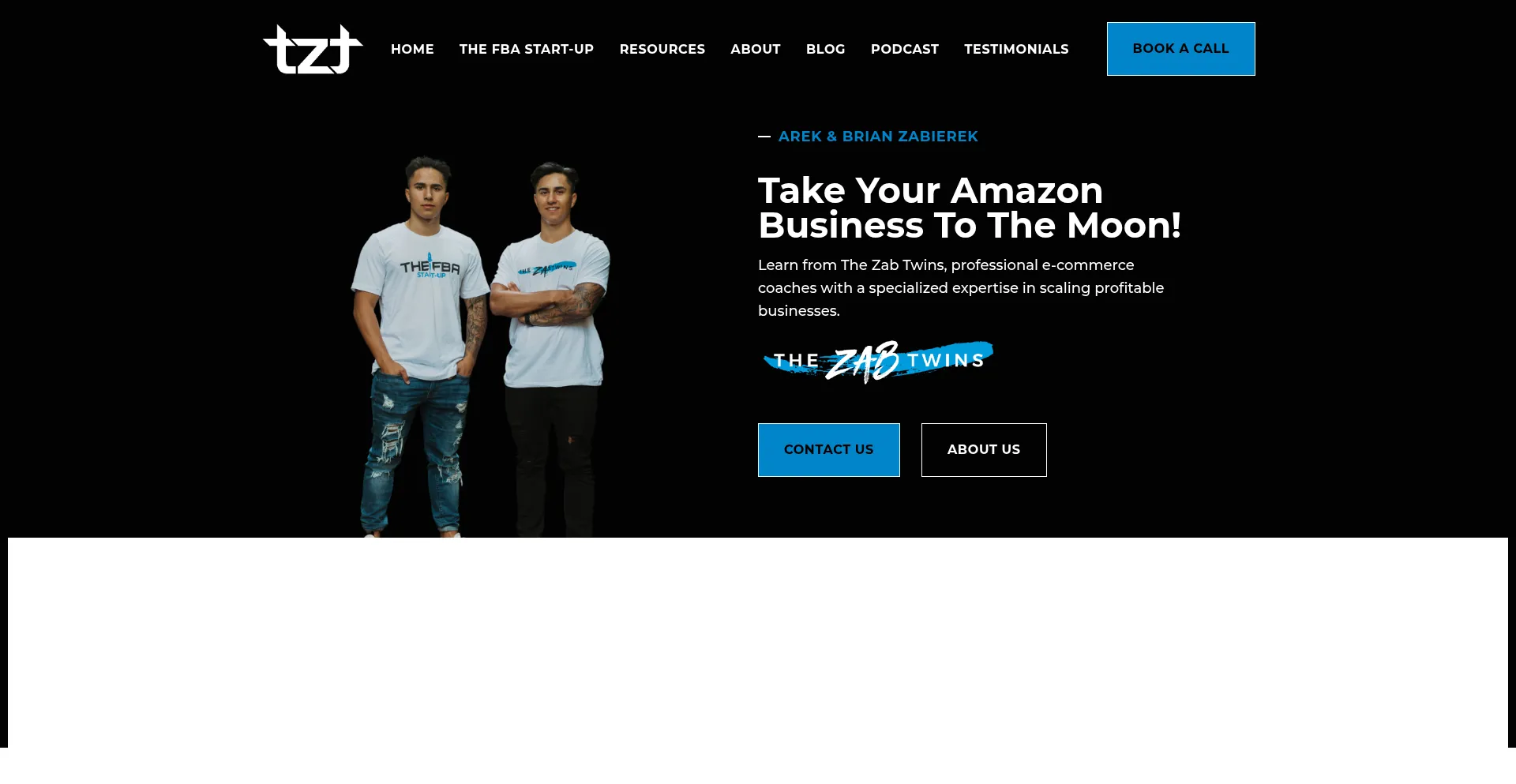 Thezabtwins.com Screenshot