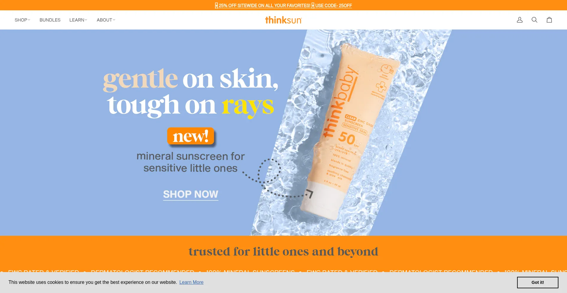 Website screenshot of Thinksun.com