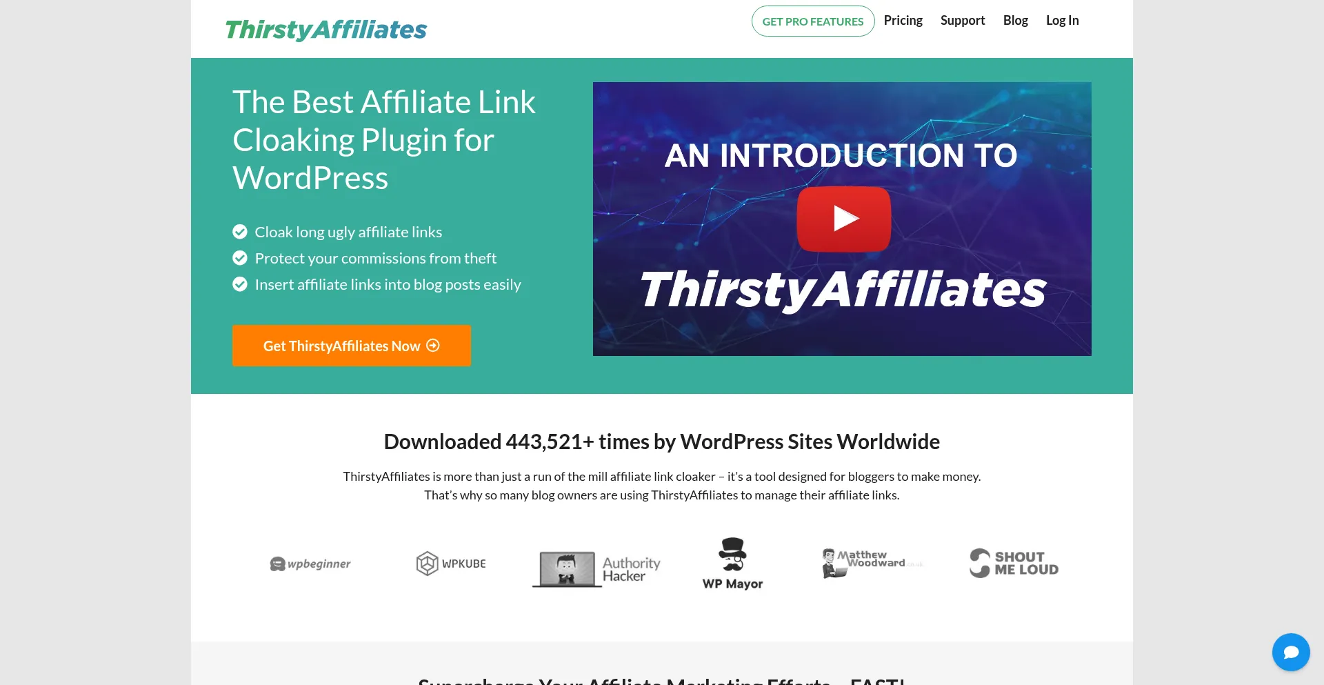 Website screenshot of Thirstyaffiliates.com