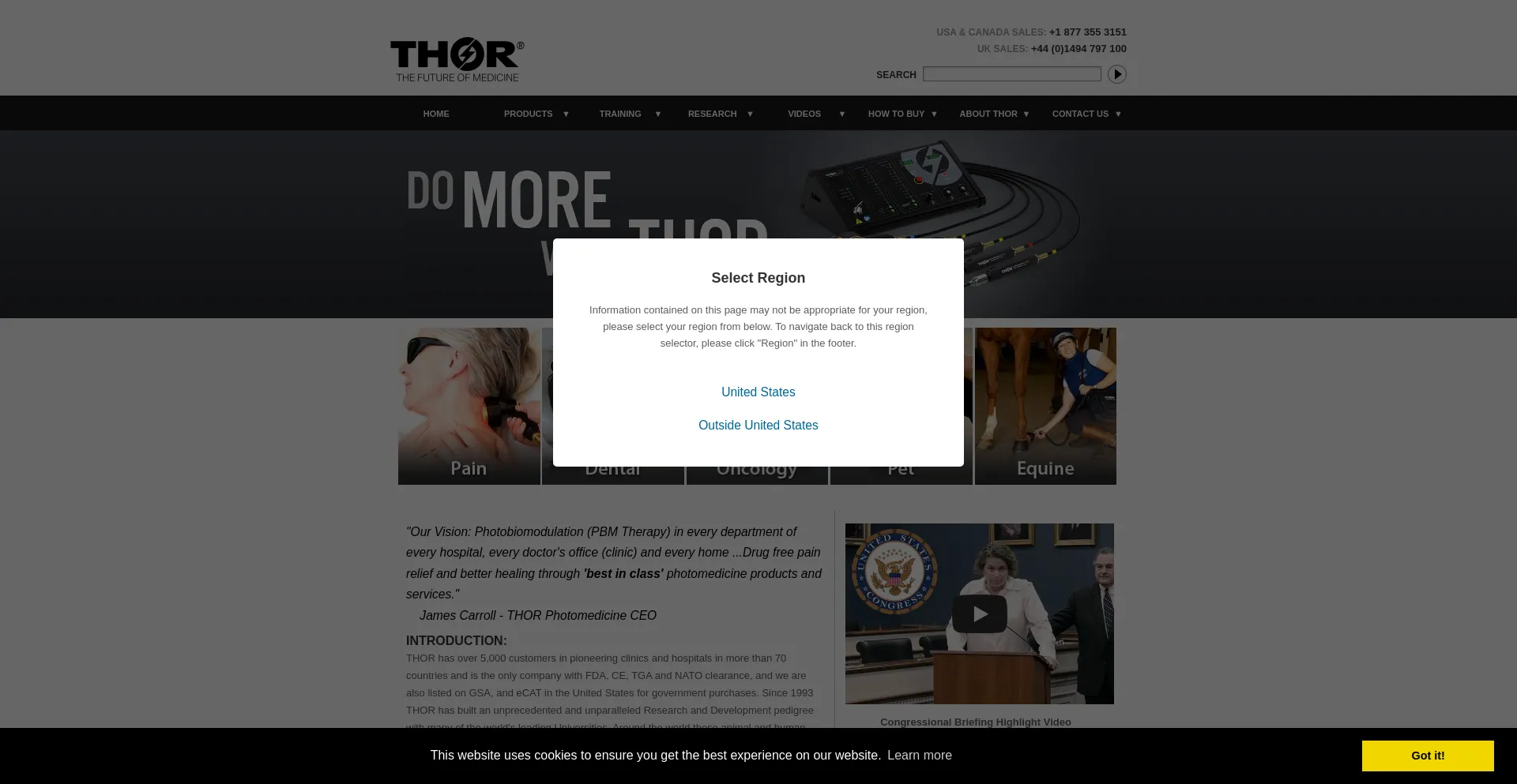 Website screenshot of Thorlaser.com