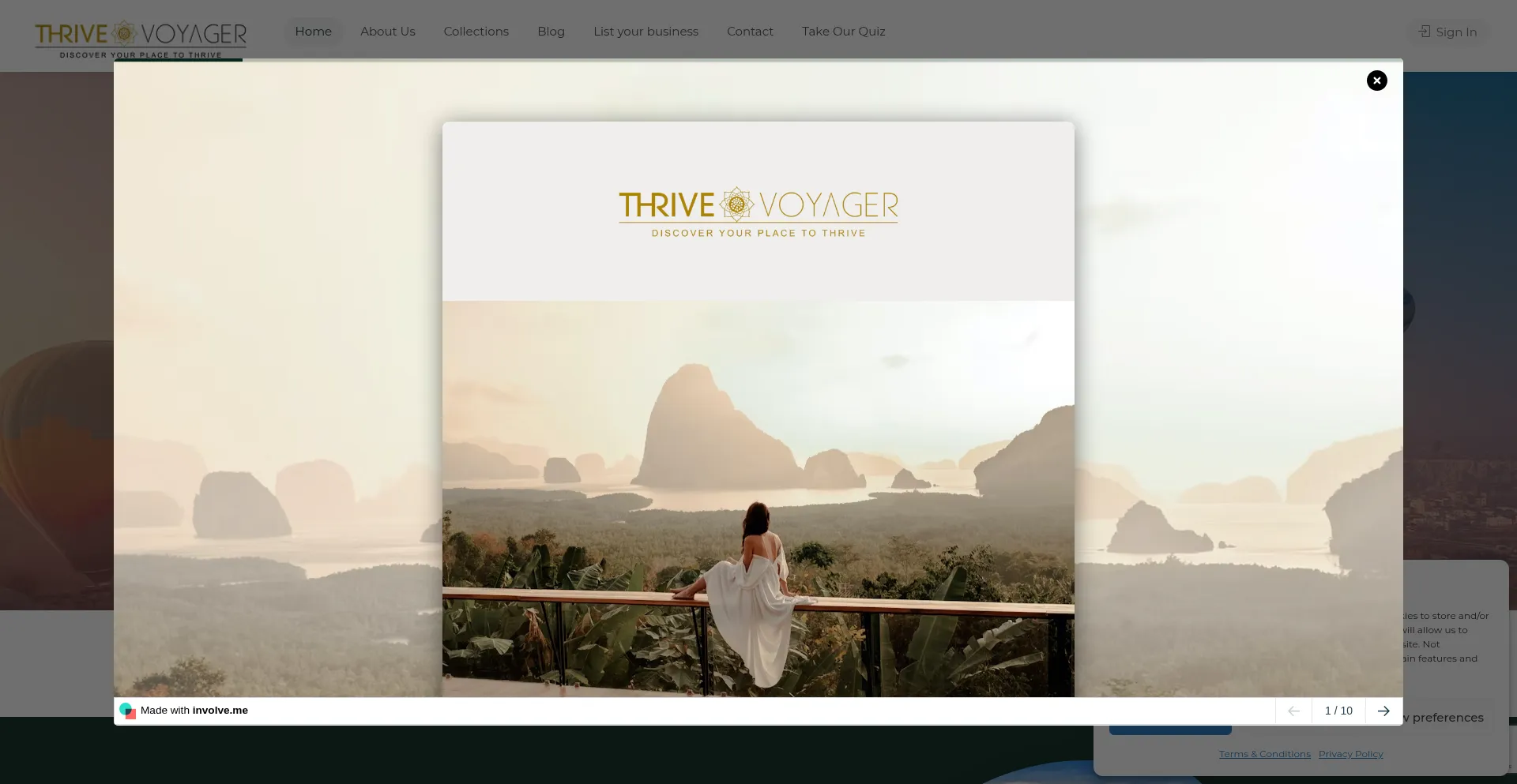 Thrivevoyager.com Screenshot