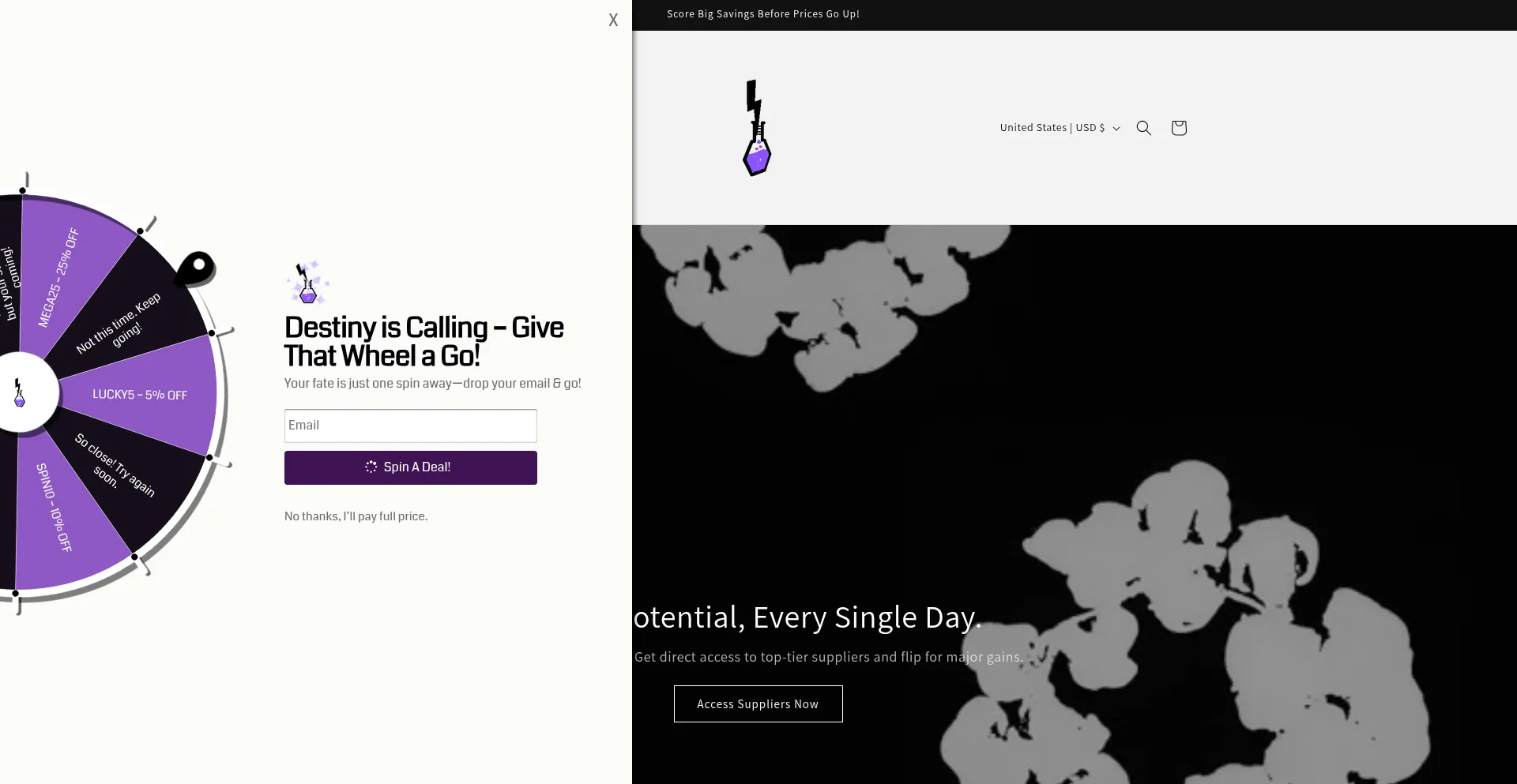 Website screenshot of Thunder-laboratory.store