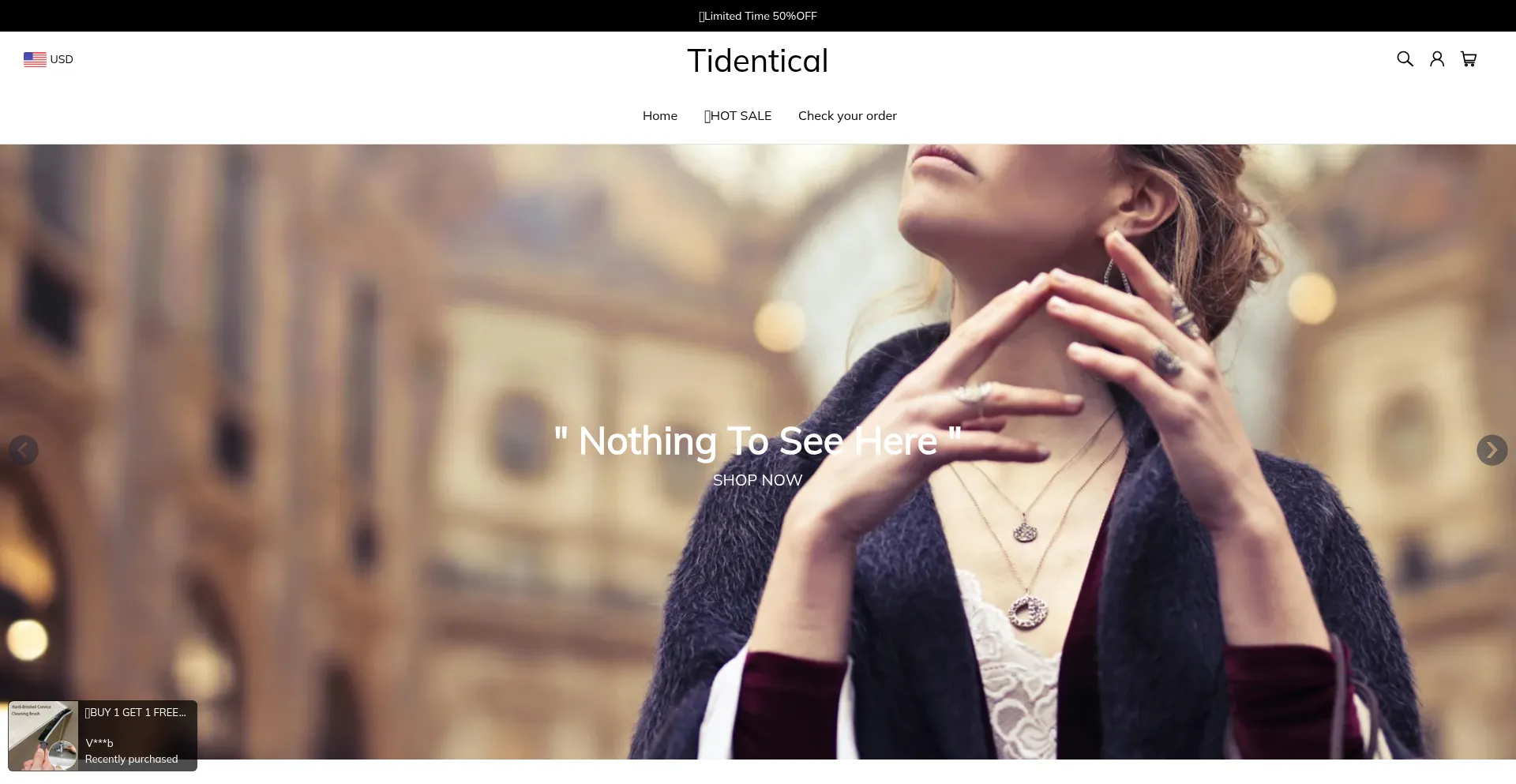 Website screenshot of Tidentical.com
