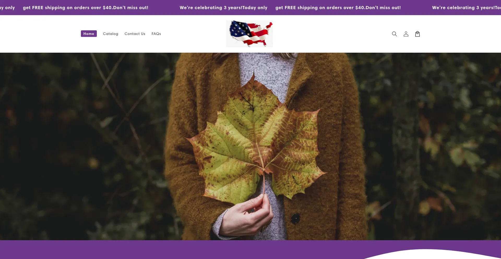 Website screenshot of Tidgloza.com
