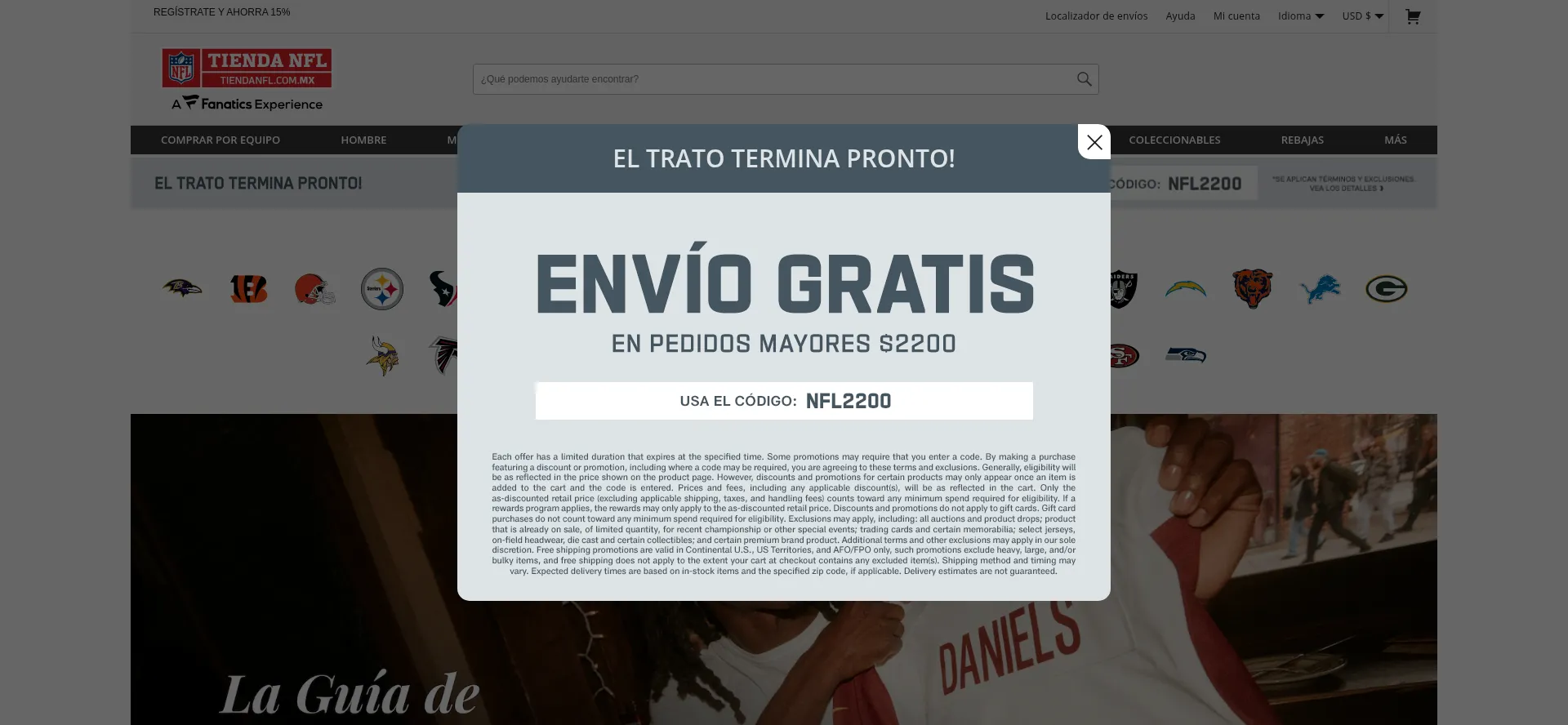 Website screenshot of Tiendanfl.com.mx