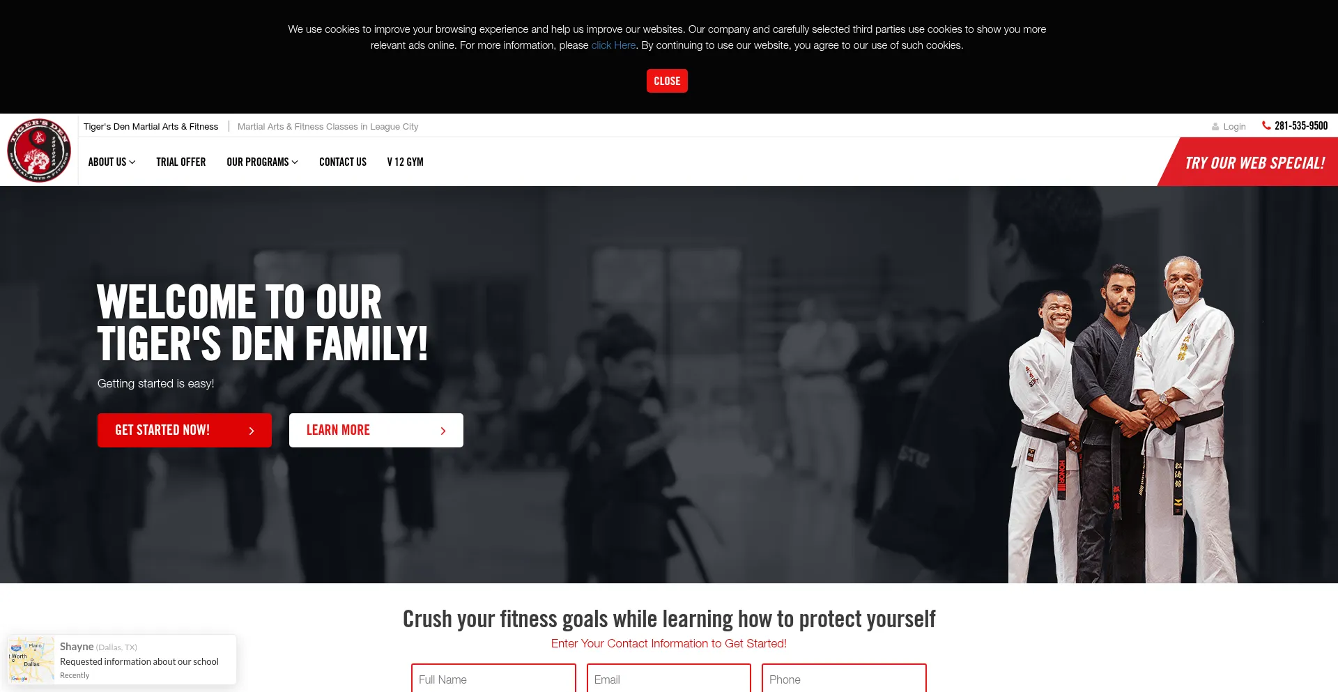 Website screenshot of Tigersdenmartialarts.com