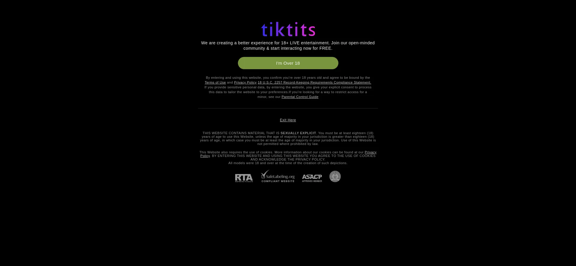 Website screenshot of Tiktits.com