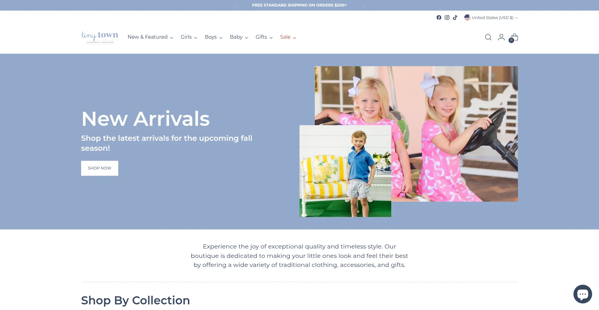 Website screenshot of Tinytowninc.com
