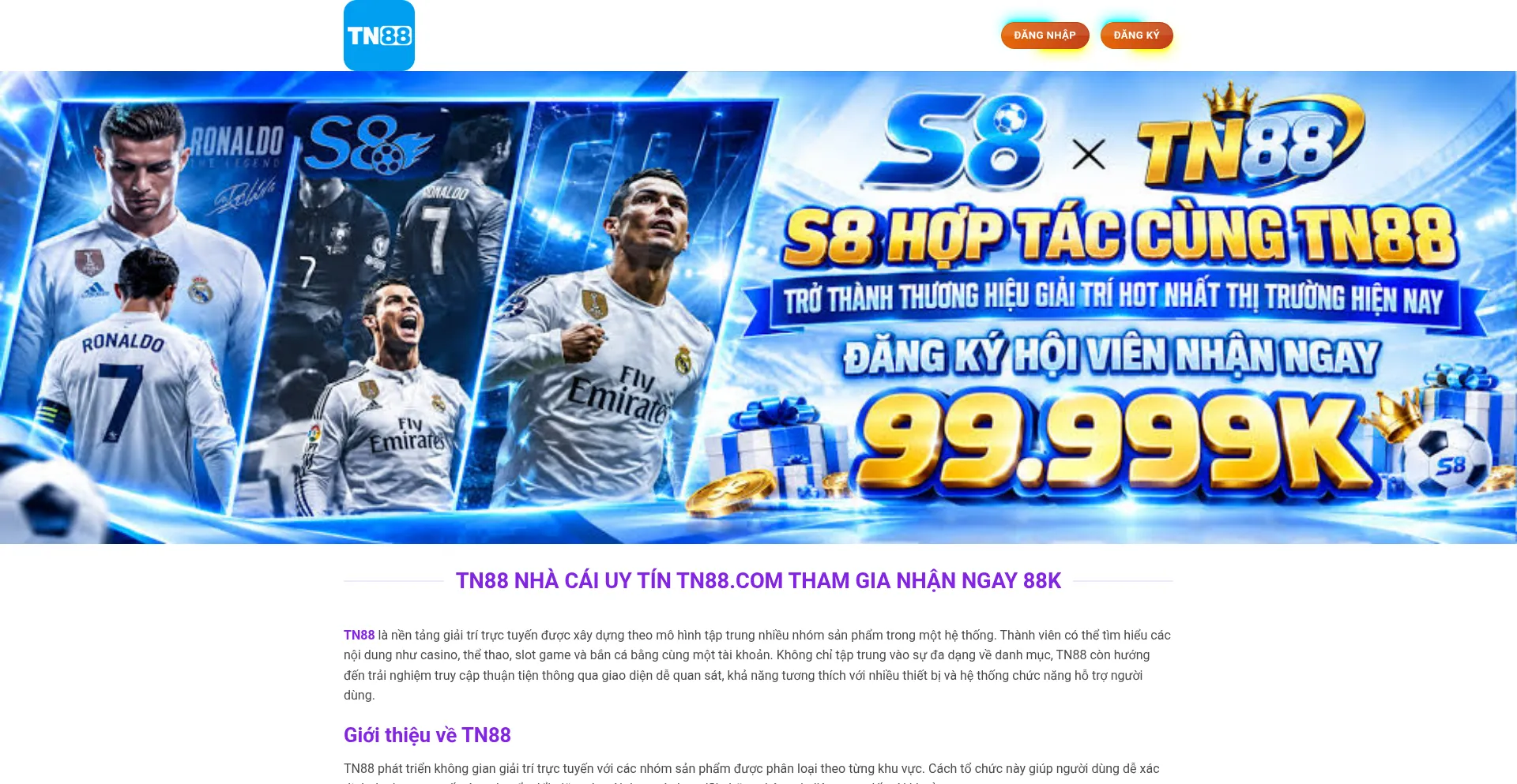 Tn88.online