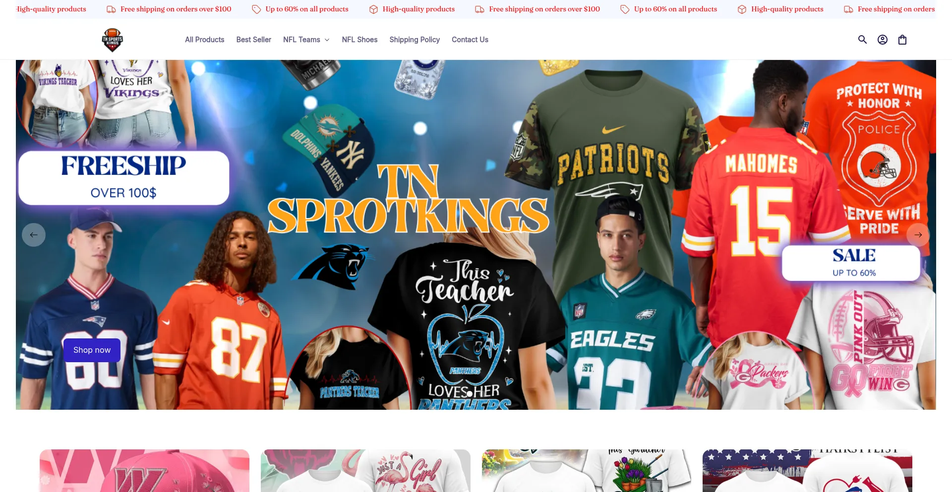 Tnsportkings.com Screenshot