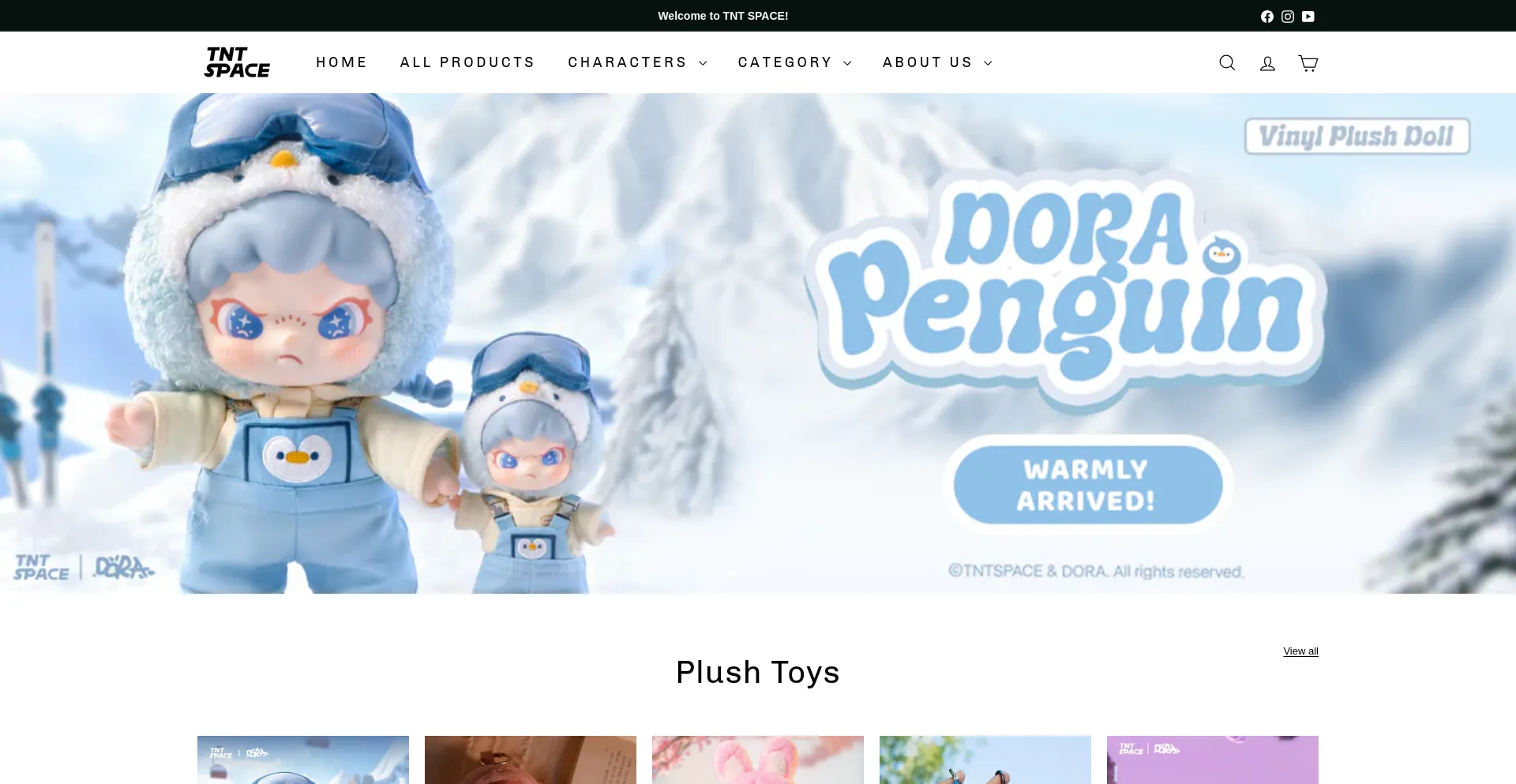 Website screenshot of Tntspace.com