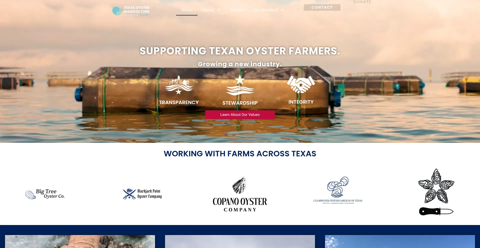 Website screenshot of Toma.org