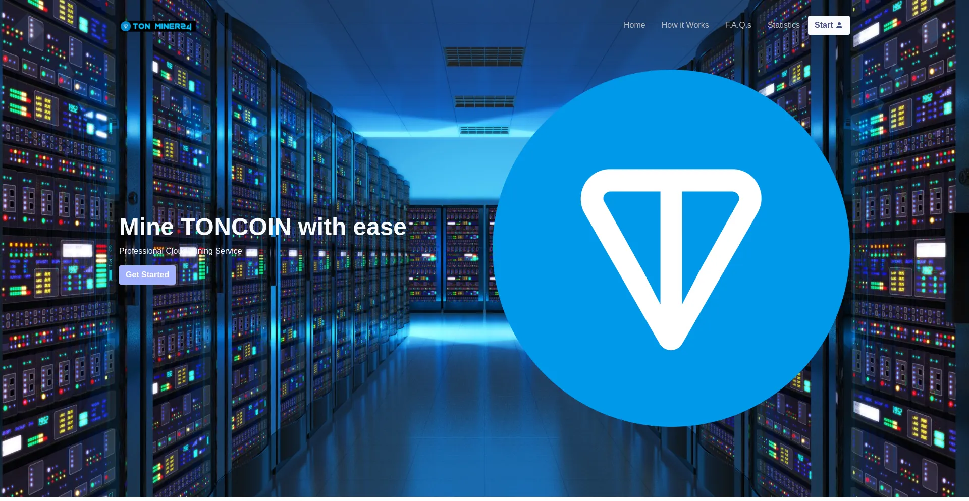 Website screenshot of Tonminer24.space