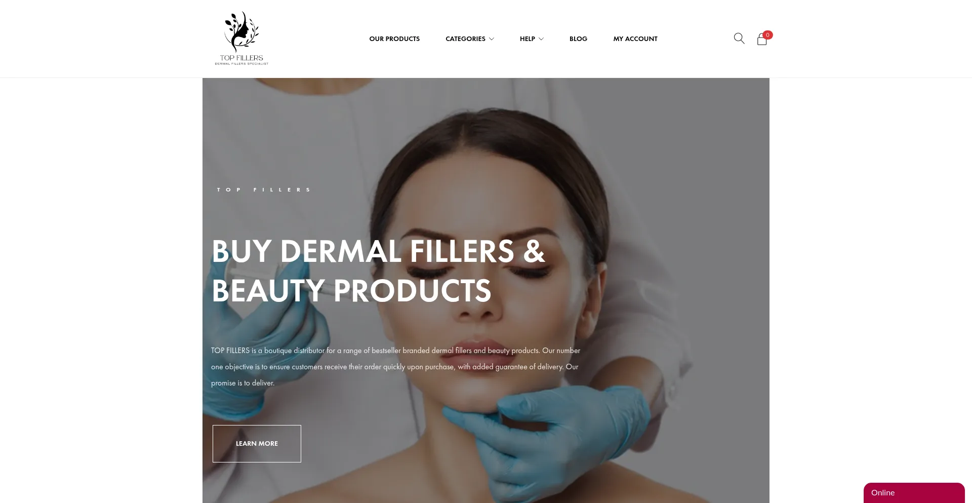 Website screenshot of Top-fillers.co.uk
