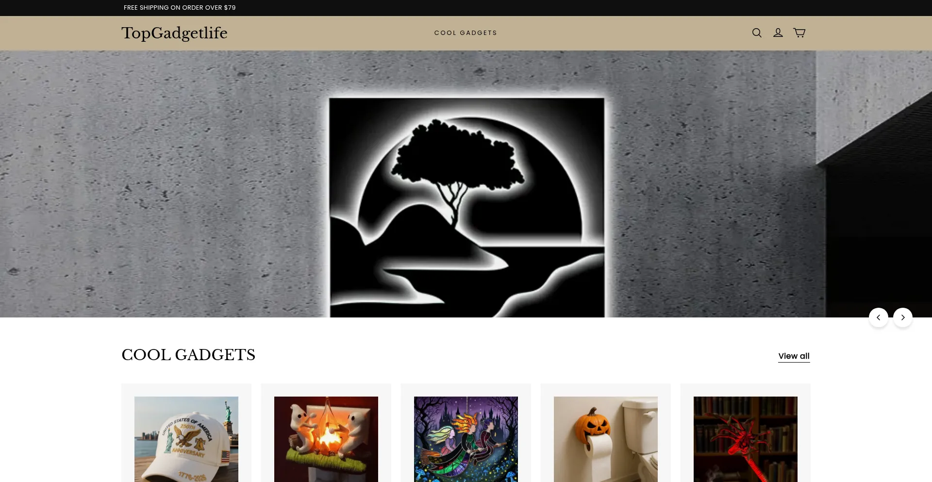 Website screenshot of Topgadgetlife.com