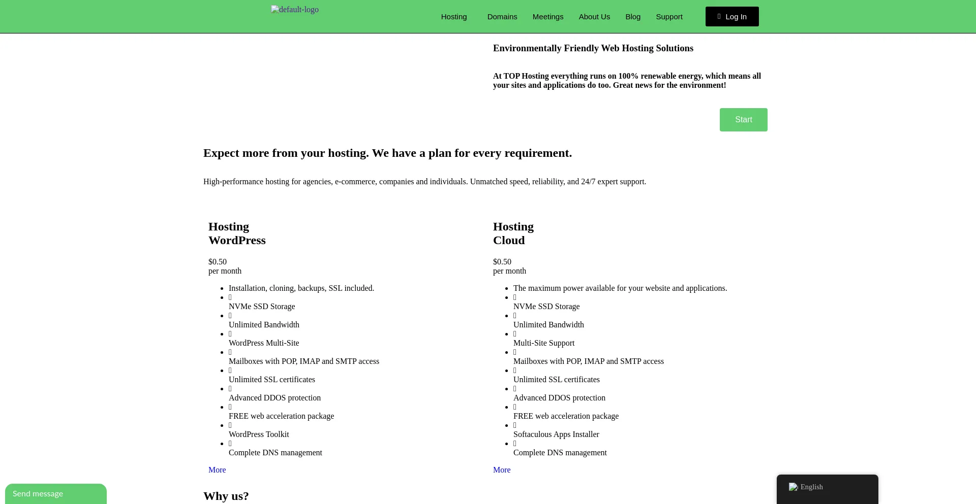 Website screenshot of Tophosting.llc