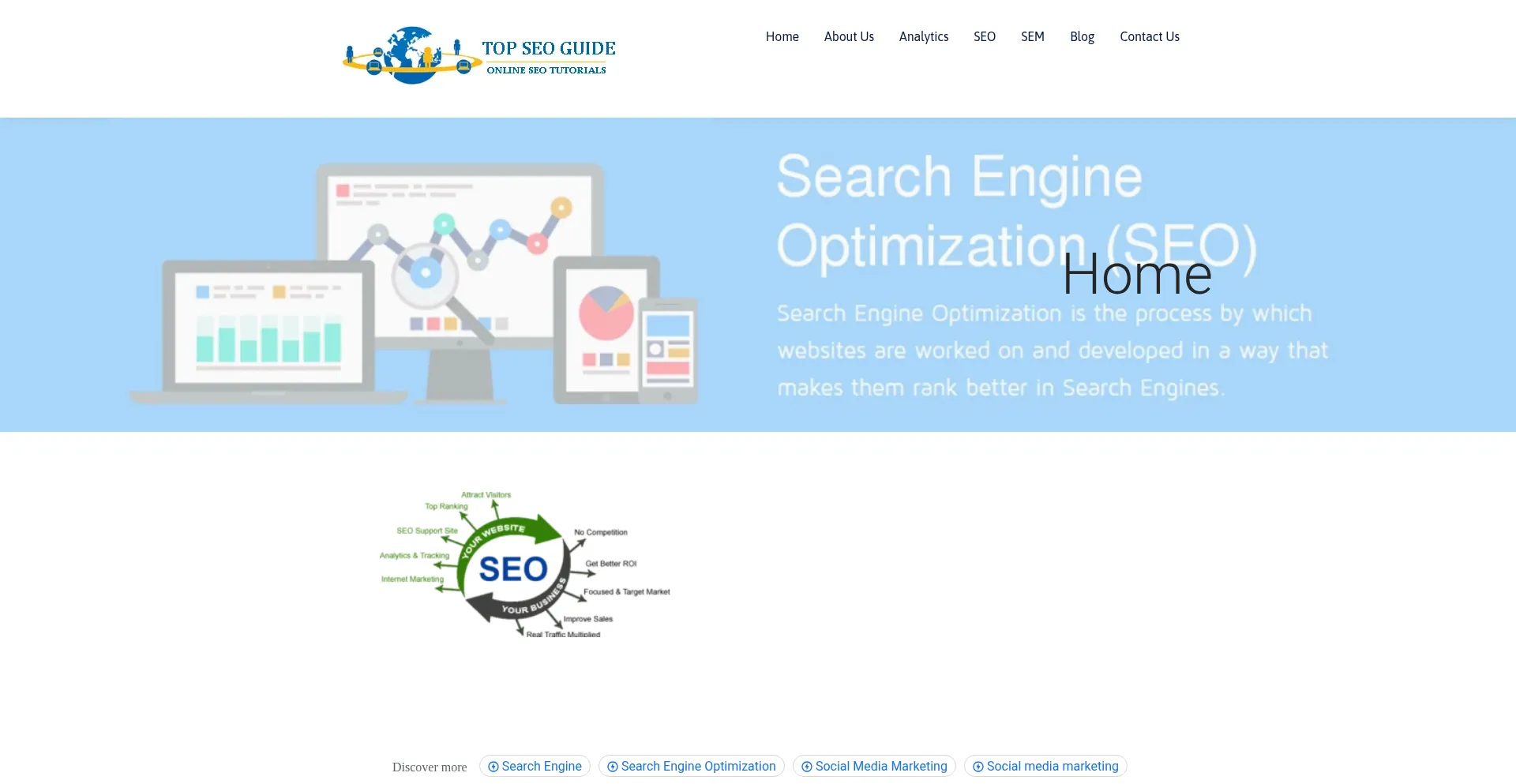Topseoguide.com Screenshot