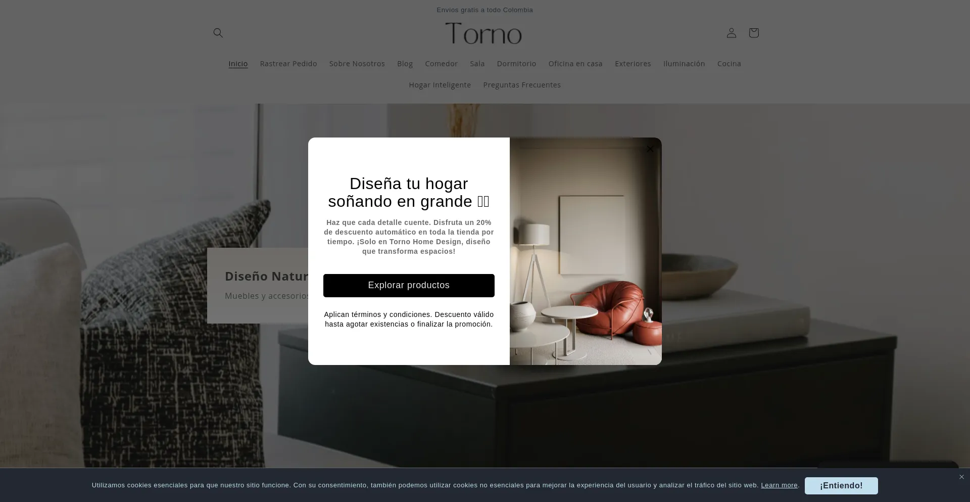 Website screenshot of Torno.com.co